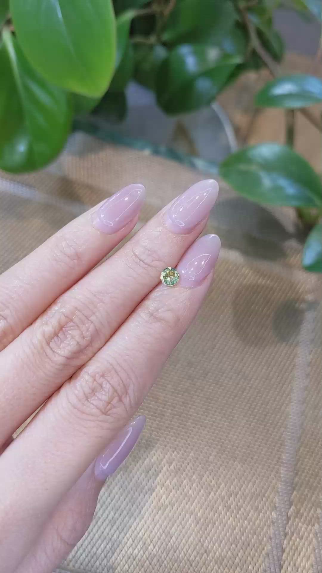 0.50 Ct. Bi Color Sapphire from Madagascar Size Video