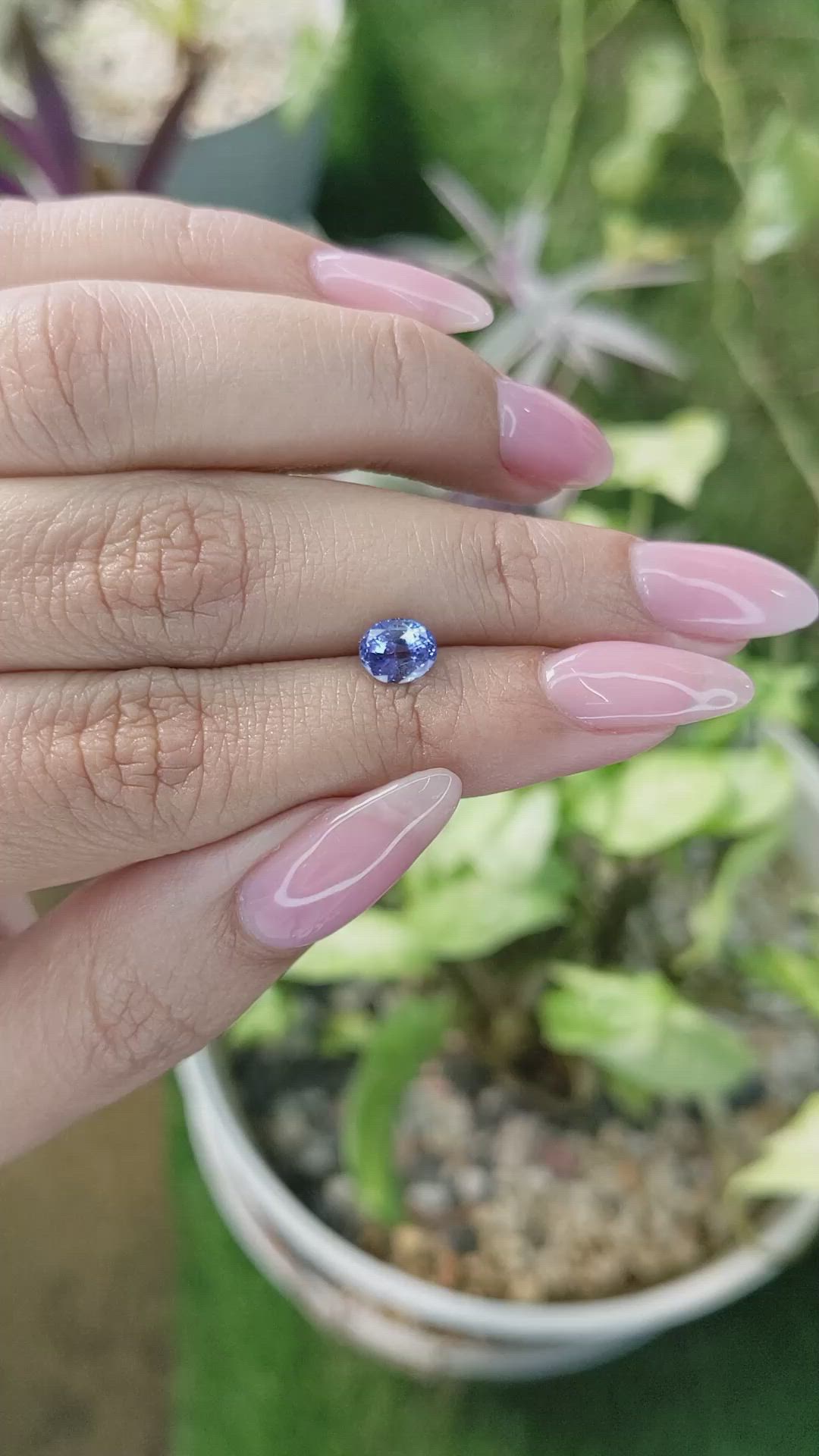 1.24 Ct. Blue Sapphire from Ceylon (Sri Lanka) Size Video