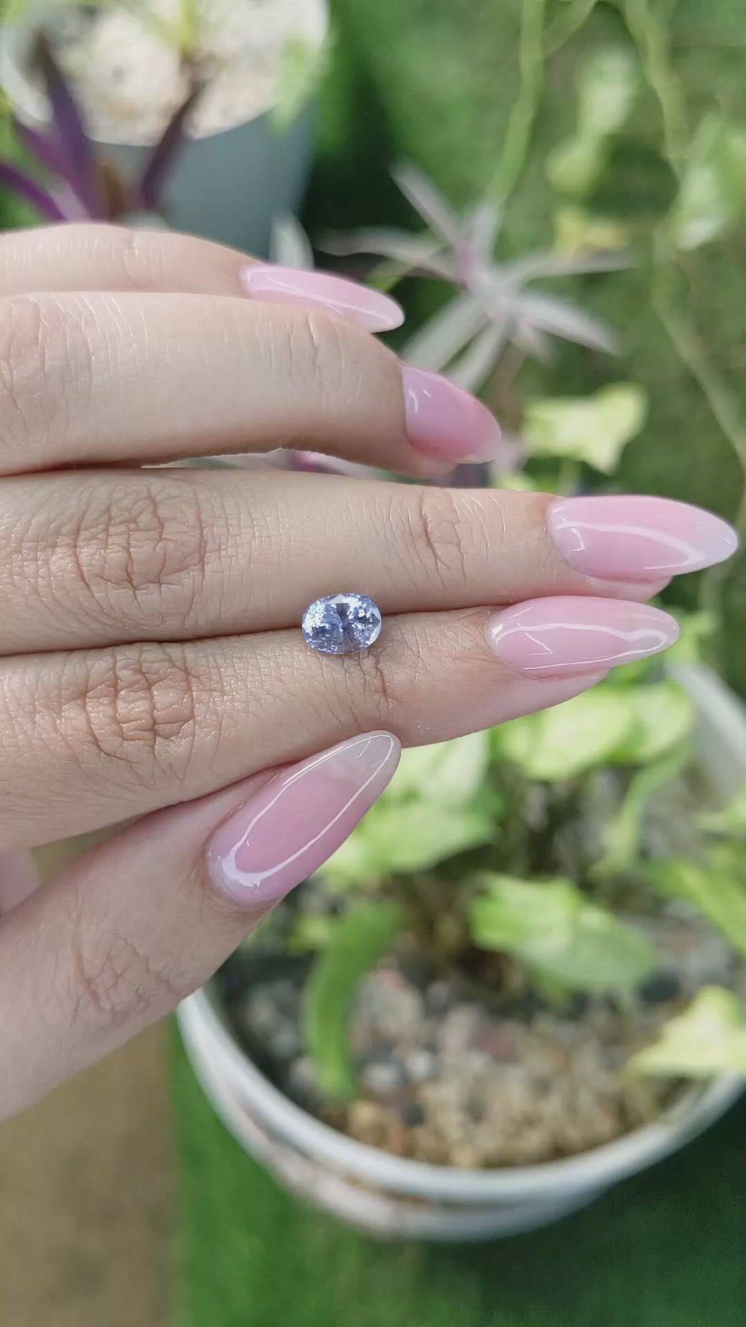 1.51 Ct. Blue Sapphire from Ceylon (Sri Lanka) Size Video