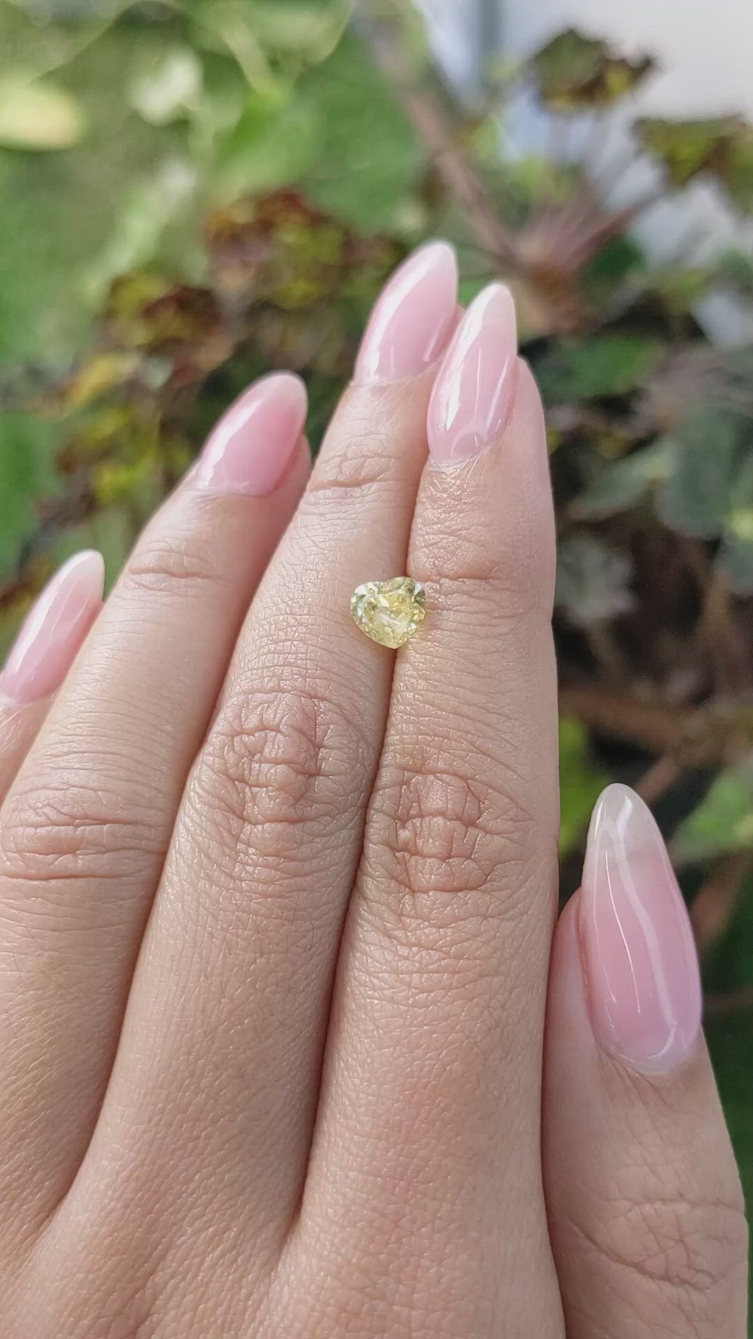 1.34 Ct. Yellow Sapphire from Ceylon (Sri Lanka) Size Video