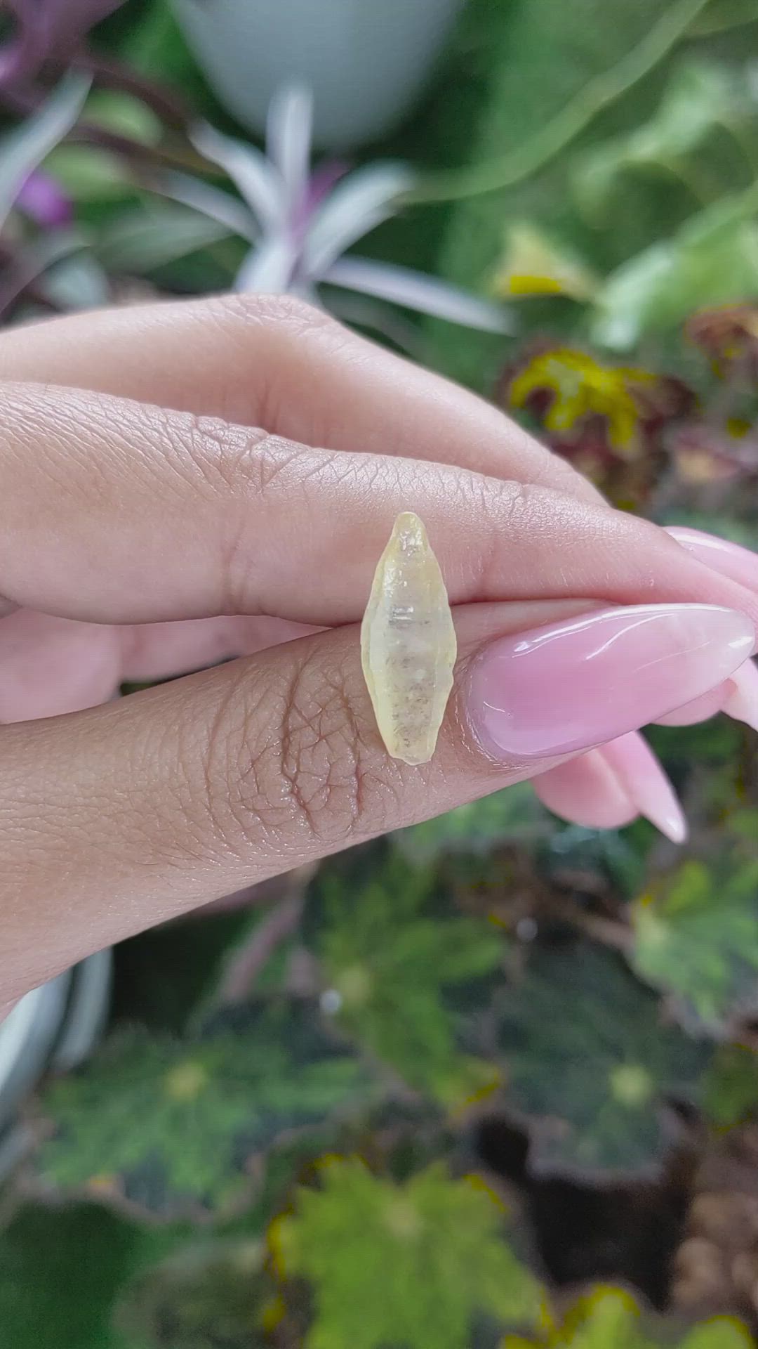 5.88 Ct. Yellow Rough Sapphire from Ceylon (Sri Lanka) Size Video