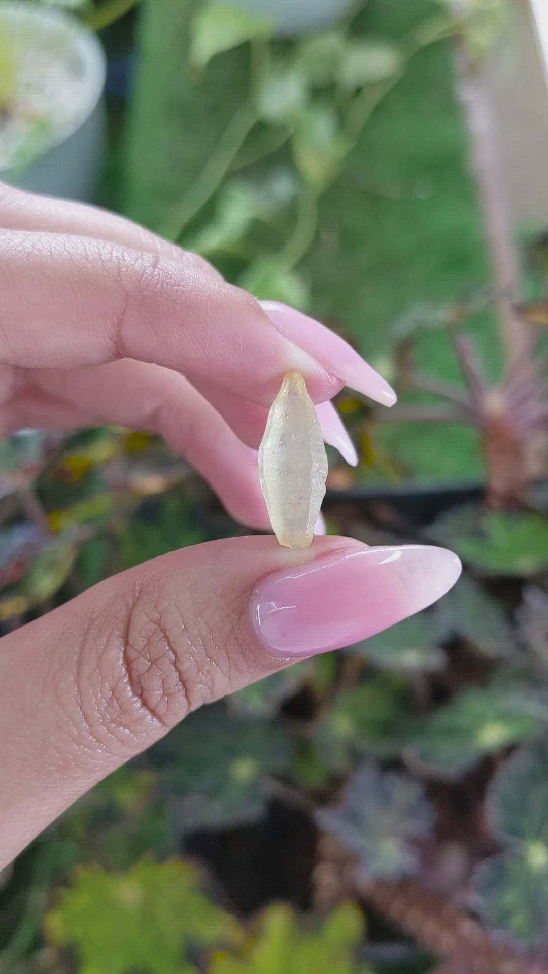 5.88 Ct. Yellow Rough Sapphire from Ceylon (Sri Lanka) Size Video