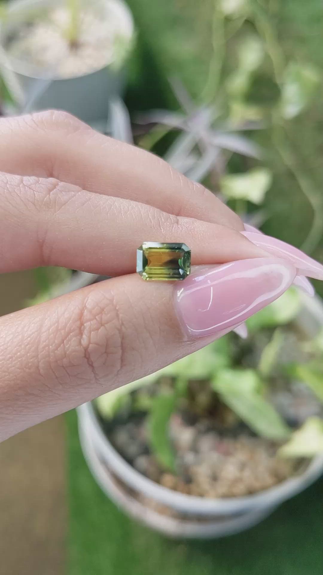 2.02 Ct. Bi Color Sapphire from Ceylon (Sri Lanka) Size Video