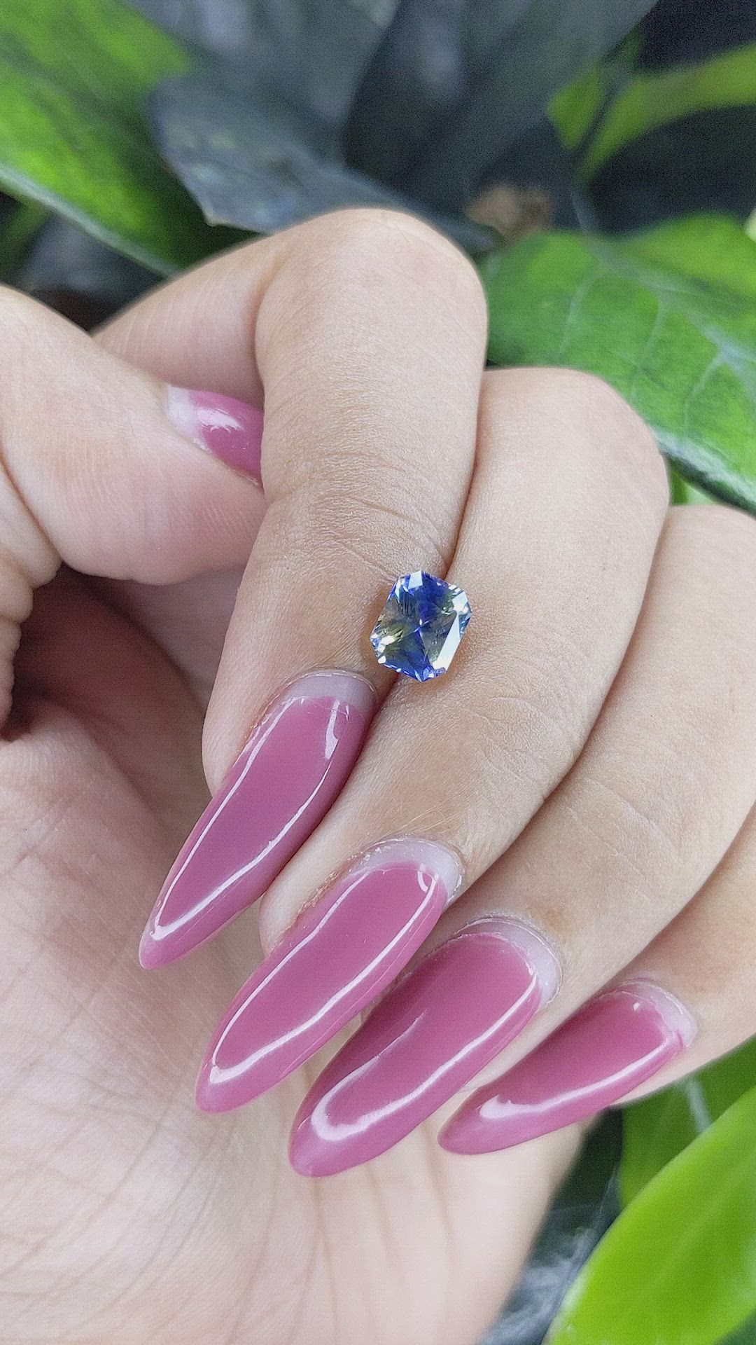 1.30 Ct. Bi Color Sapphire from Ceylon (Sri Lanka) Size Video