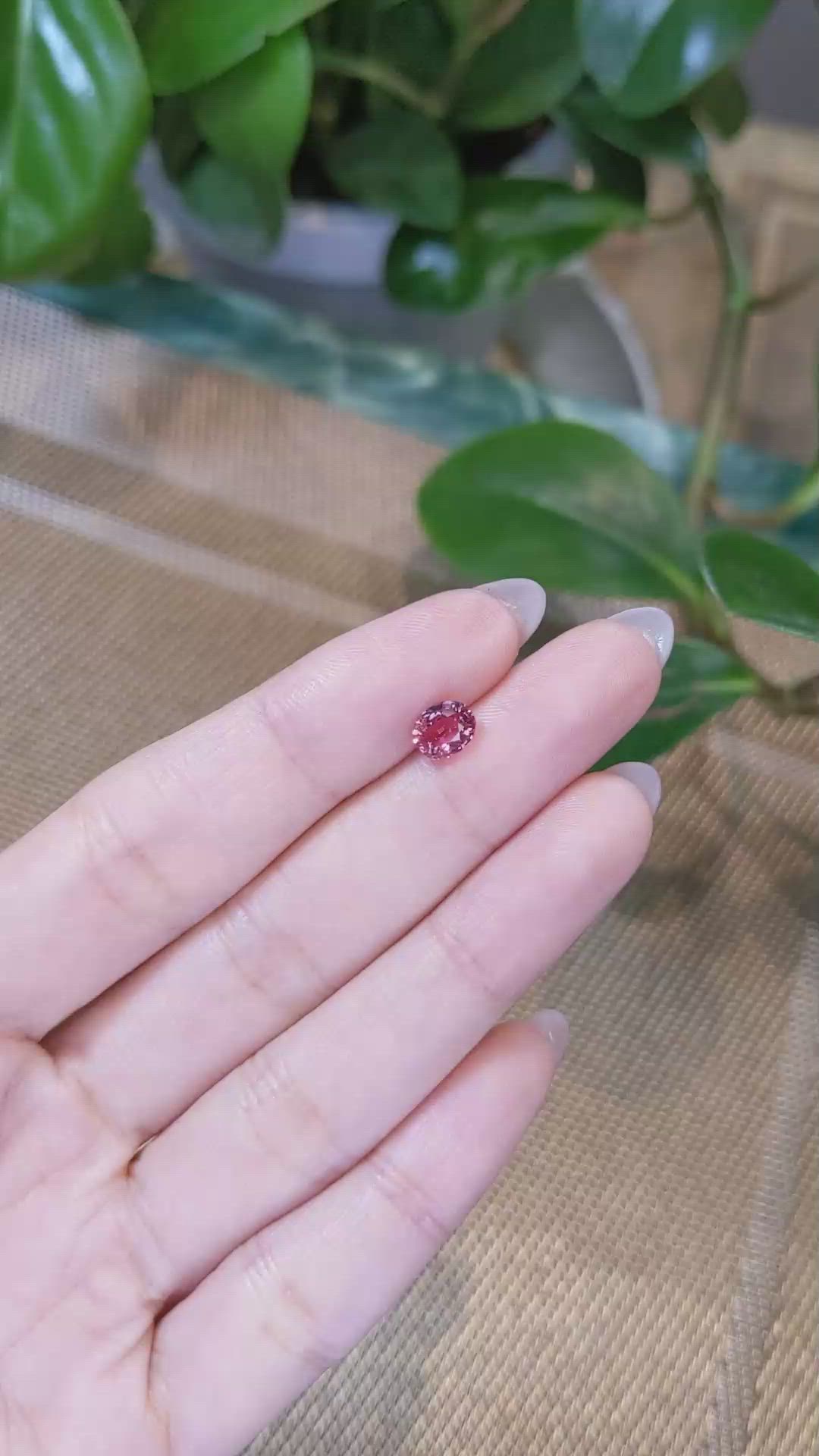 1.27 Ct. Reddish Pink Sapphire from Ceylon (Sri Lanka) Size Video