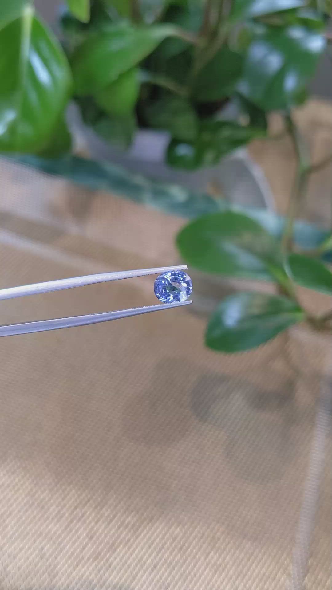 1.56 Ct. Blue Sapphire from Ceylon (Sri Lanka) Size Video