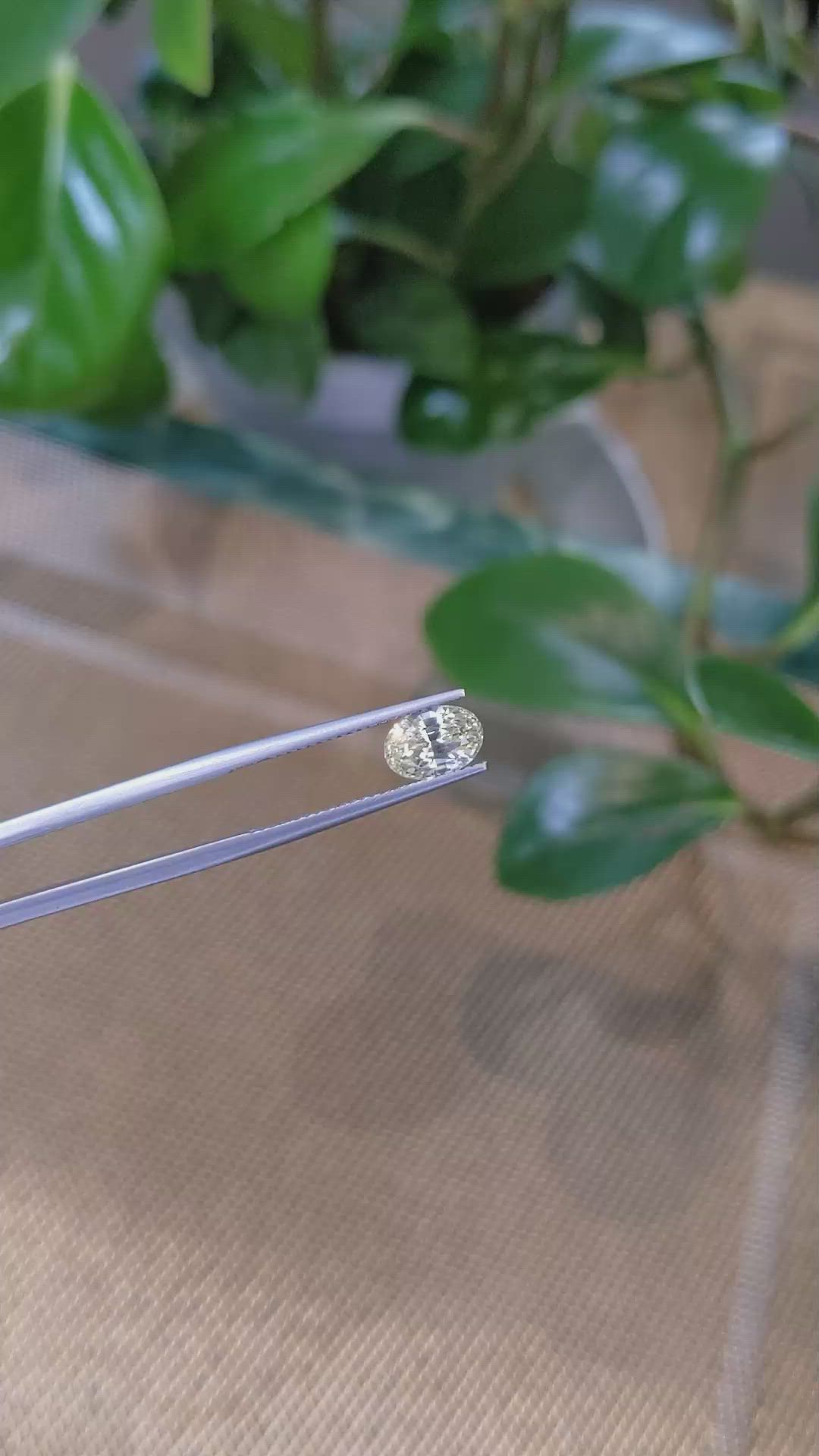 2.20 Ct. Yellow Sapphire from Ceylon (Sri Lanka) Size Video