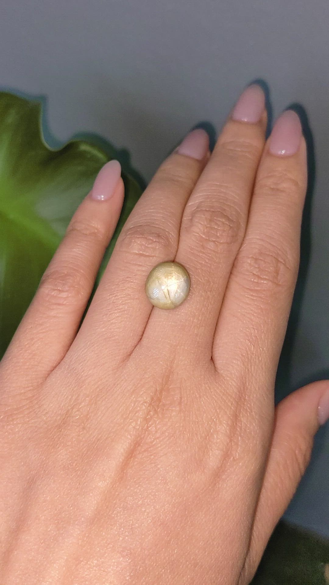 11.54 Ct. Bi Color Star Sapphire from Burma (Myanmar) Size Video