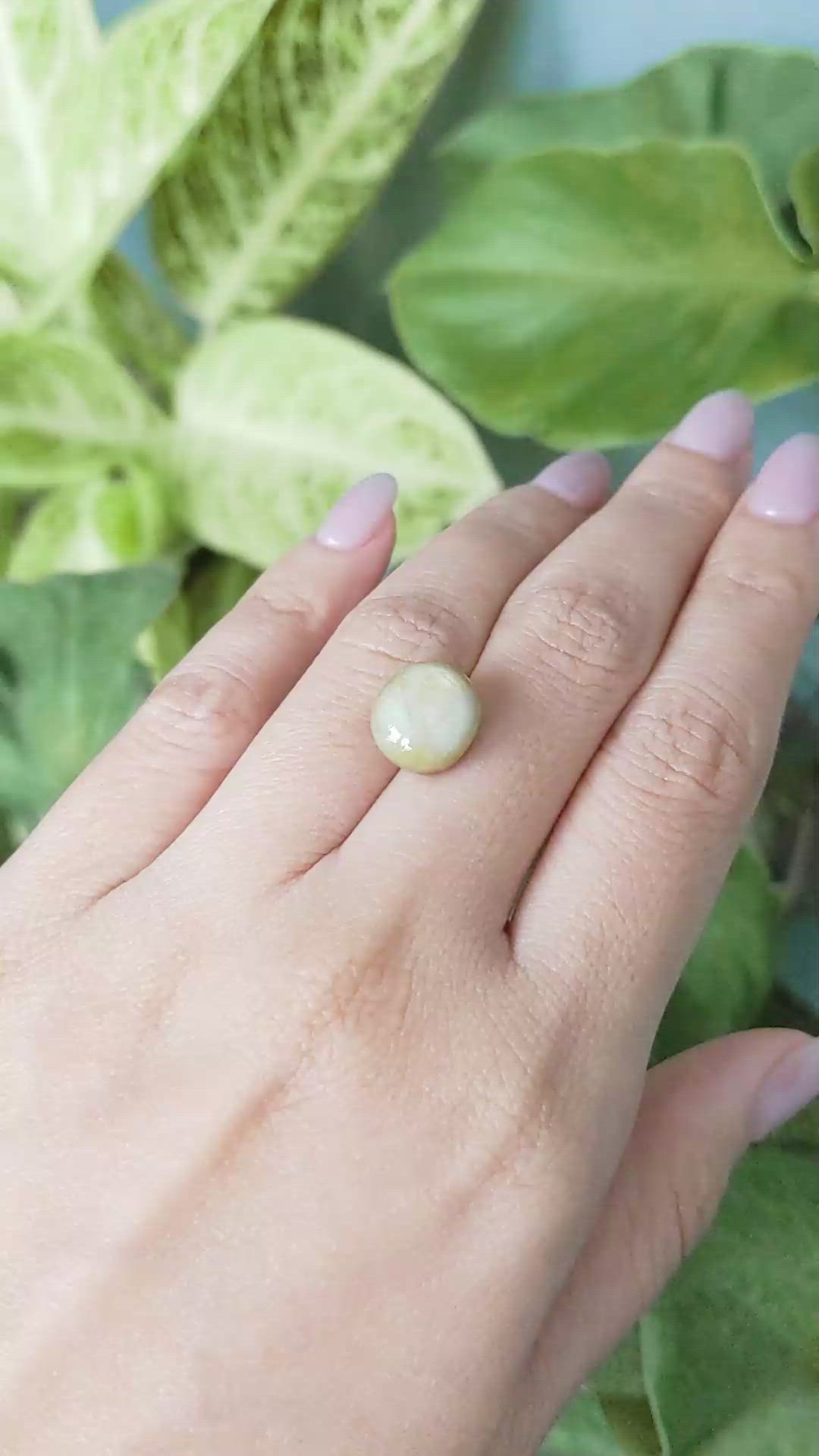 11.54 Ct. Bi Color Star Sapphire from Burma (Myanmar) Size Video