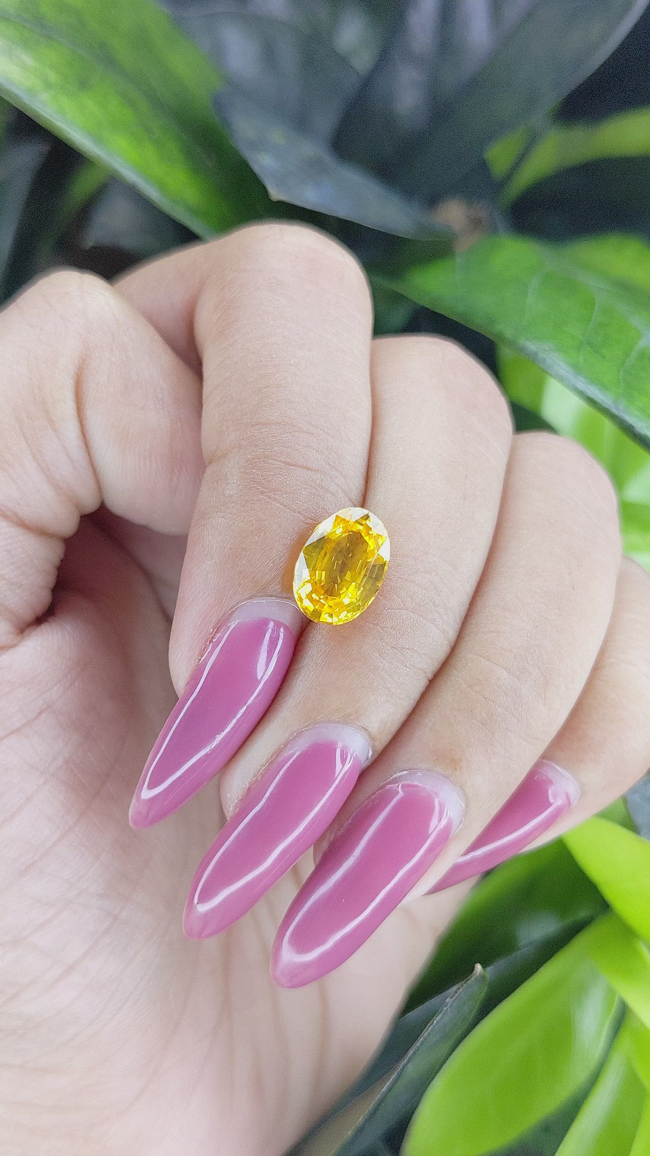 3.03 Ct. Yellow Sapphire from Ceylon (Sri Lanka) Size Video