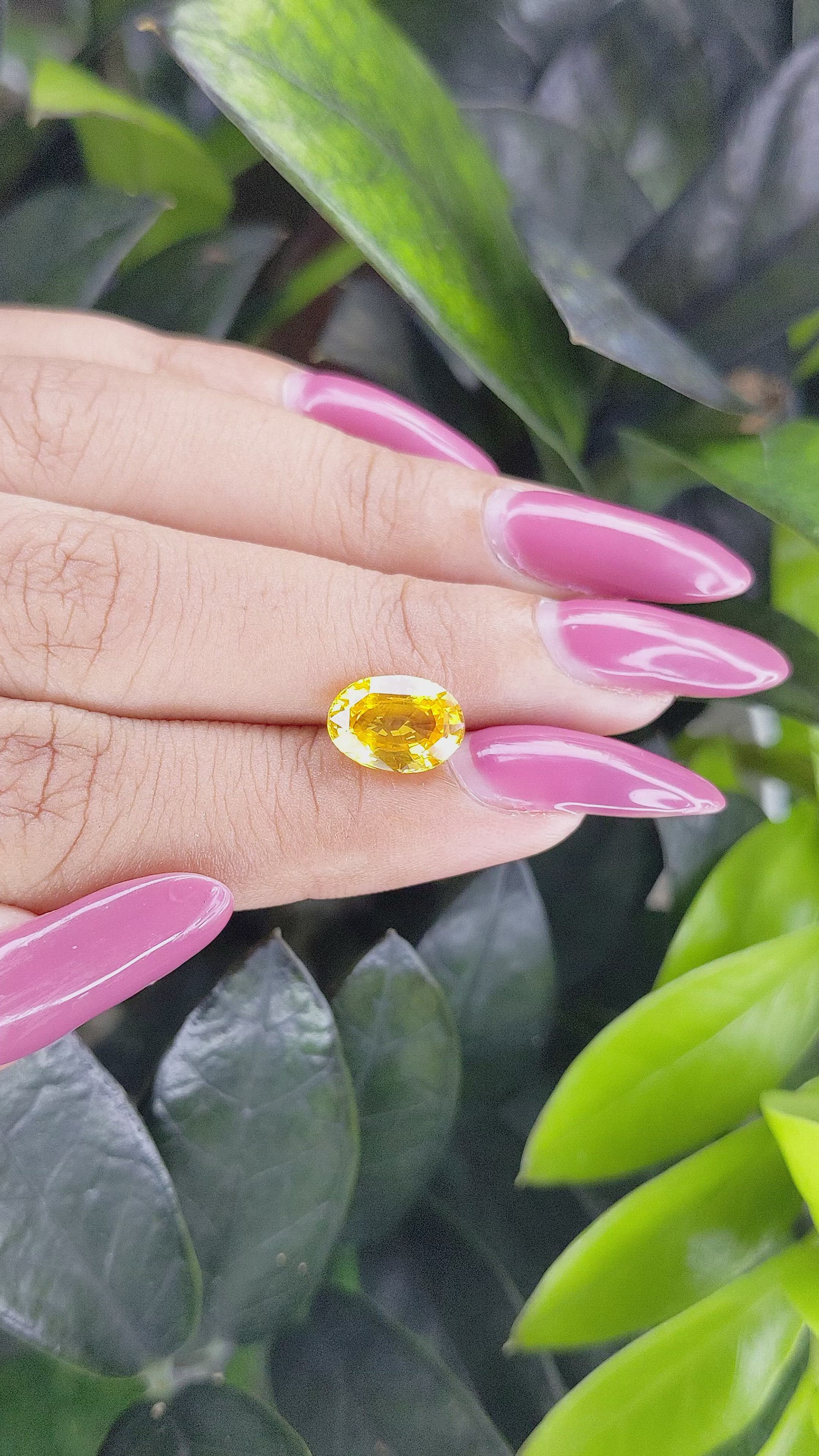 3.03 Ct. Yellow Sapphire from Ceylon (Sri Lanka) Size Video