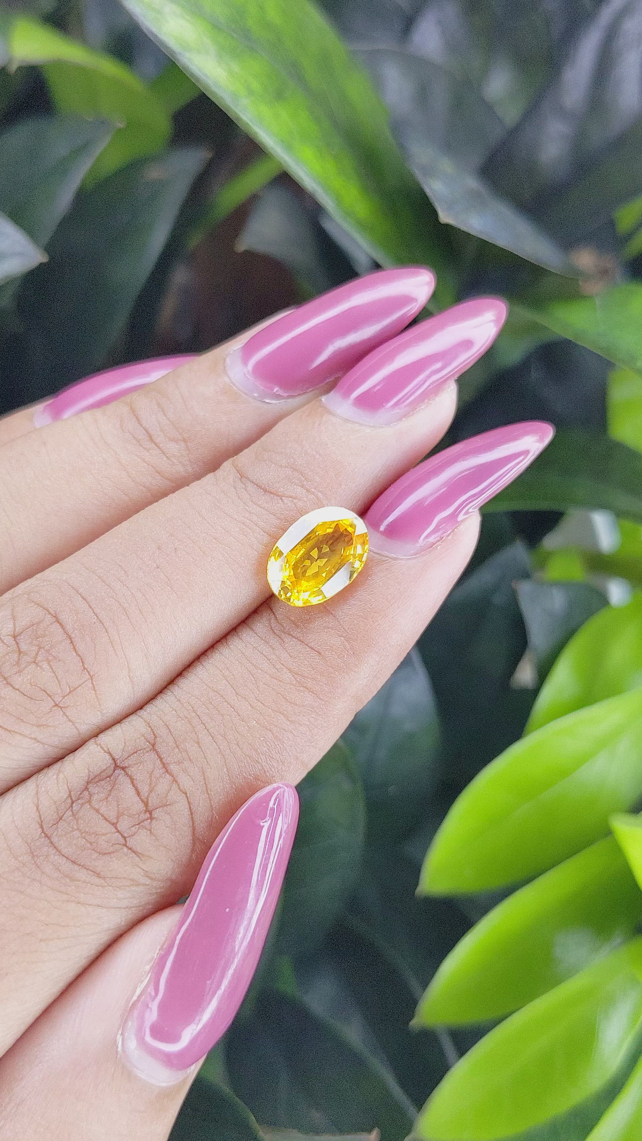 3.03 Ct. Yellow Sapphire from Ceylon (Sri Lanka) Size Video