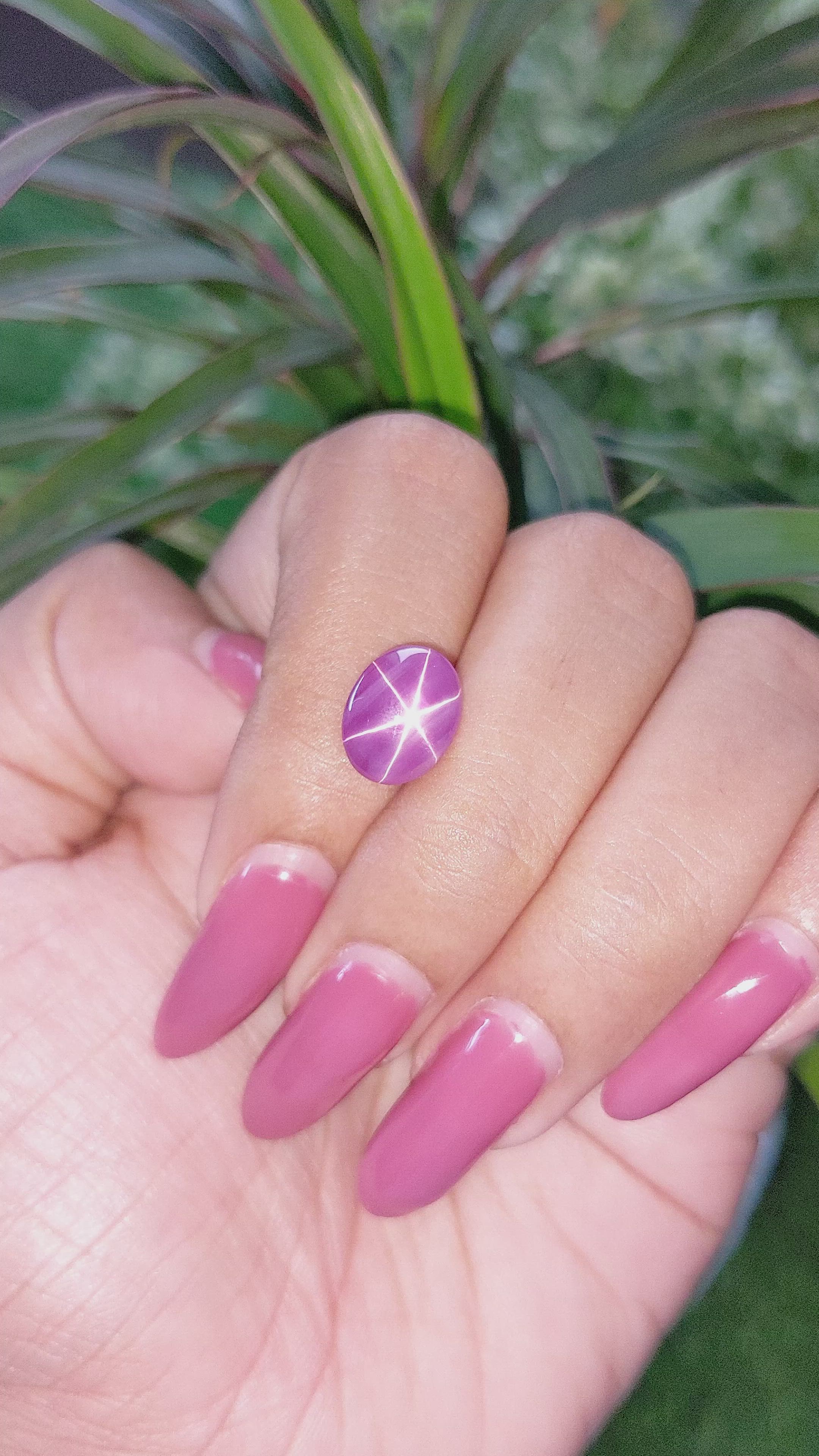 4.78 Ct. Pinkish Purple Star Sapphire from Ceylon (Sri Lanka) Size Video