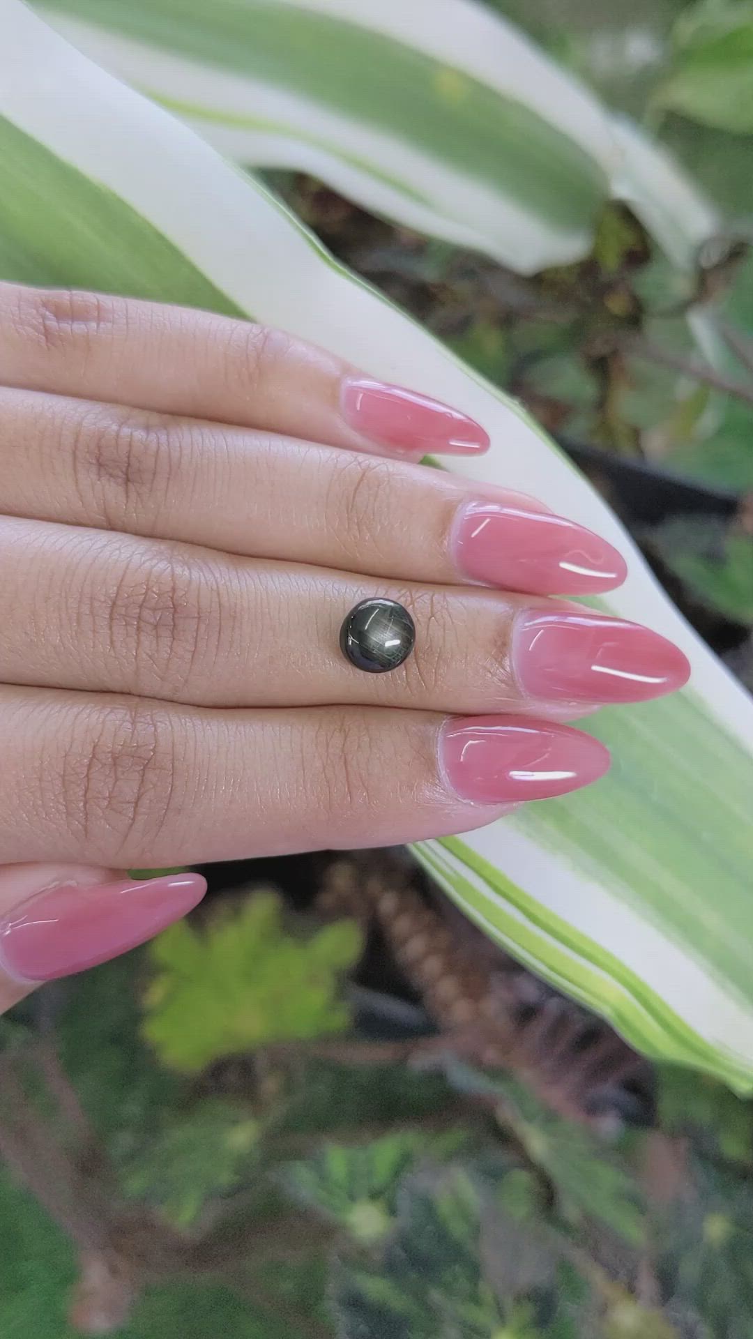 2.93 Ct. Black Star Sapphire from Ceylon (Sri Lanka) Size Video