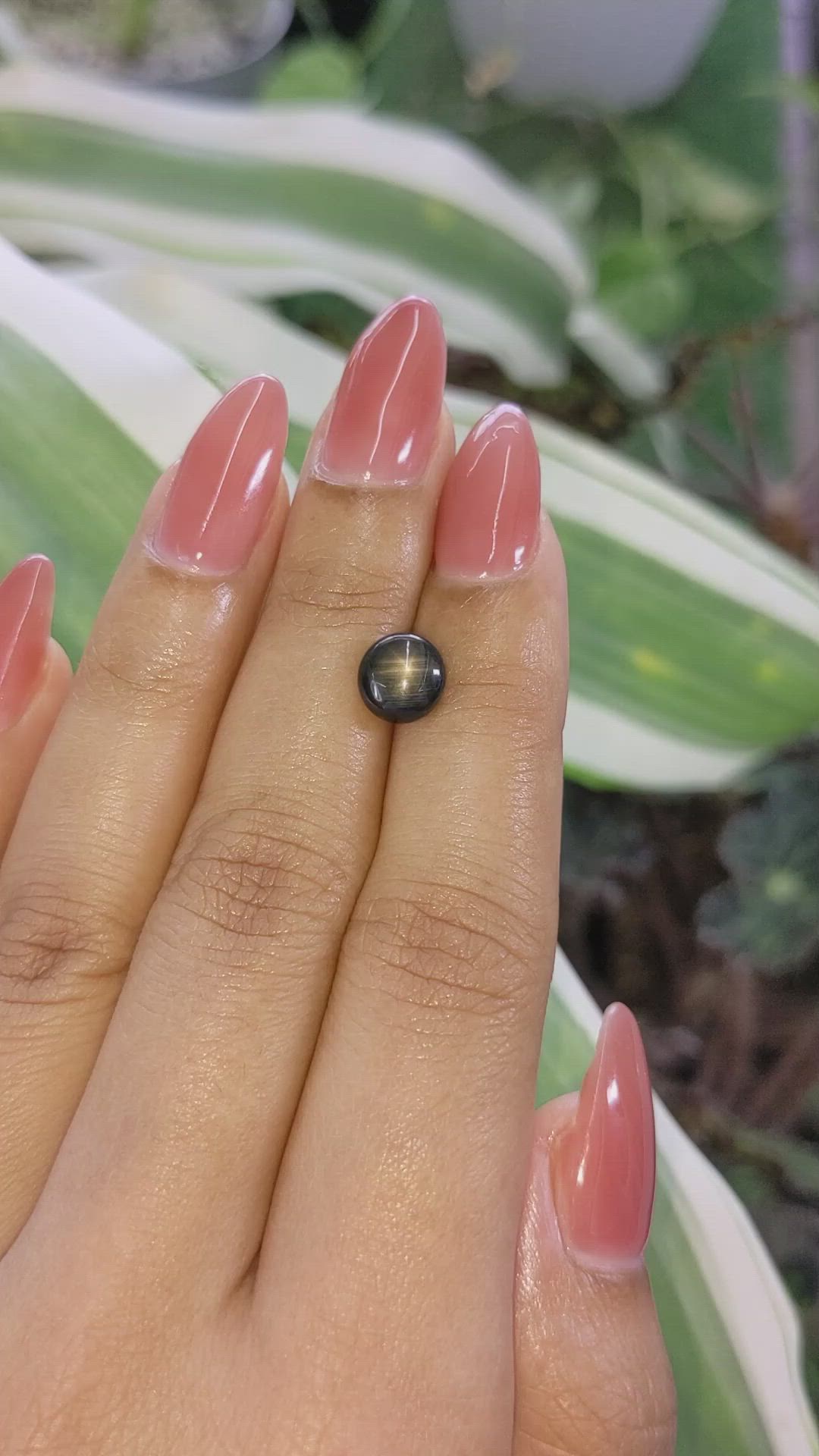 2.93 Ct. Black Star Sapphire from Ceylon (Sri Lanka) Size Video