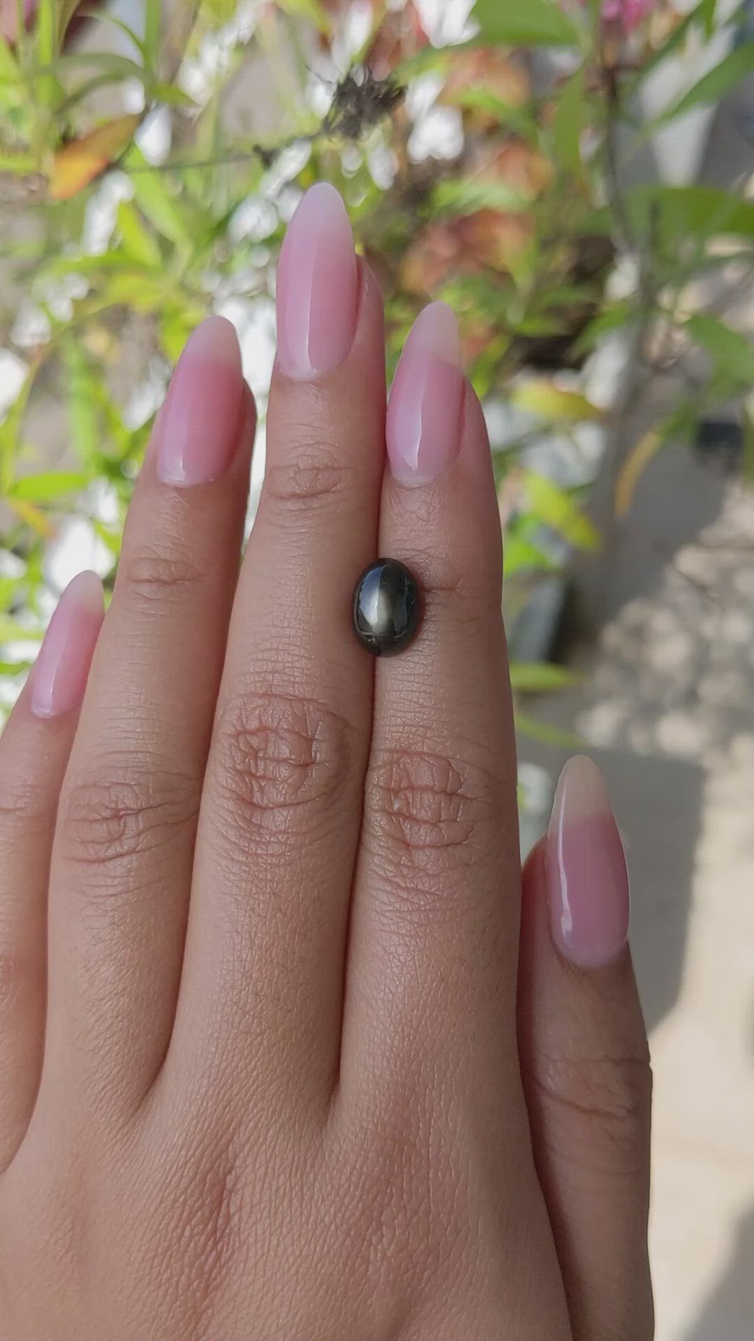 4.59 Ct. Black Star Sapphire from Ceylon (Sri Lanka) Size Video