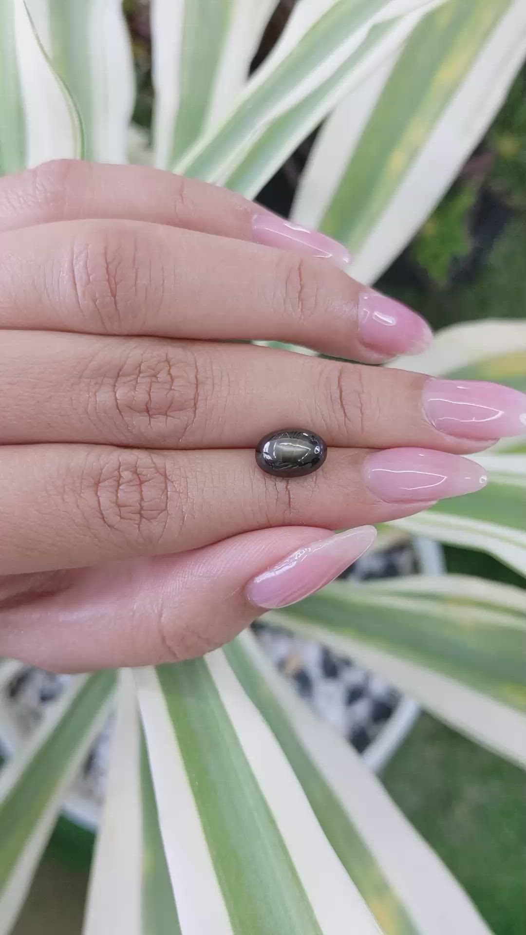 4.59 Ct. Black Star Sapphire from Ceylon (Sri Lanka) Size Video