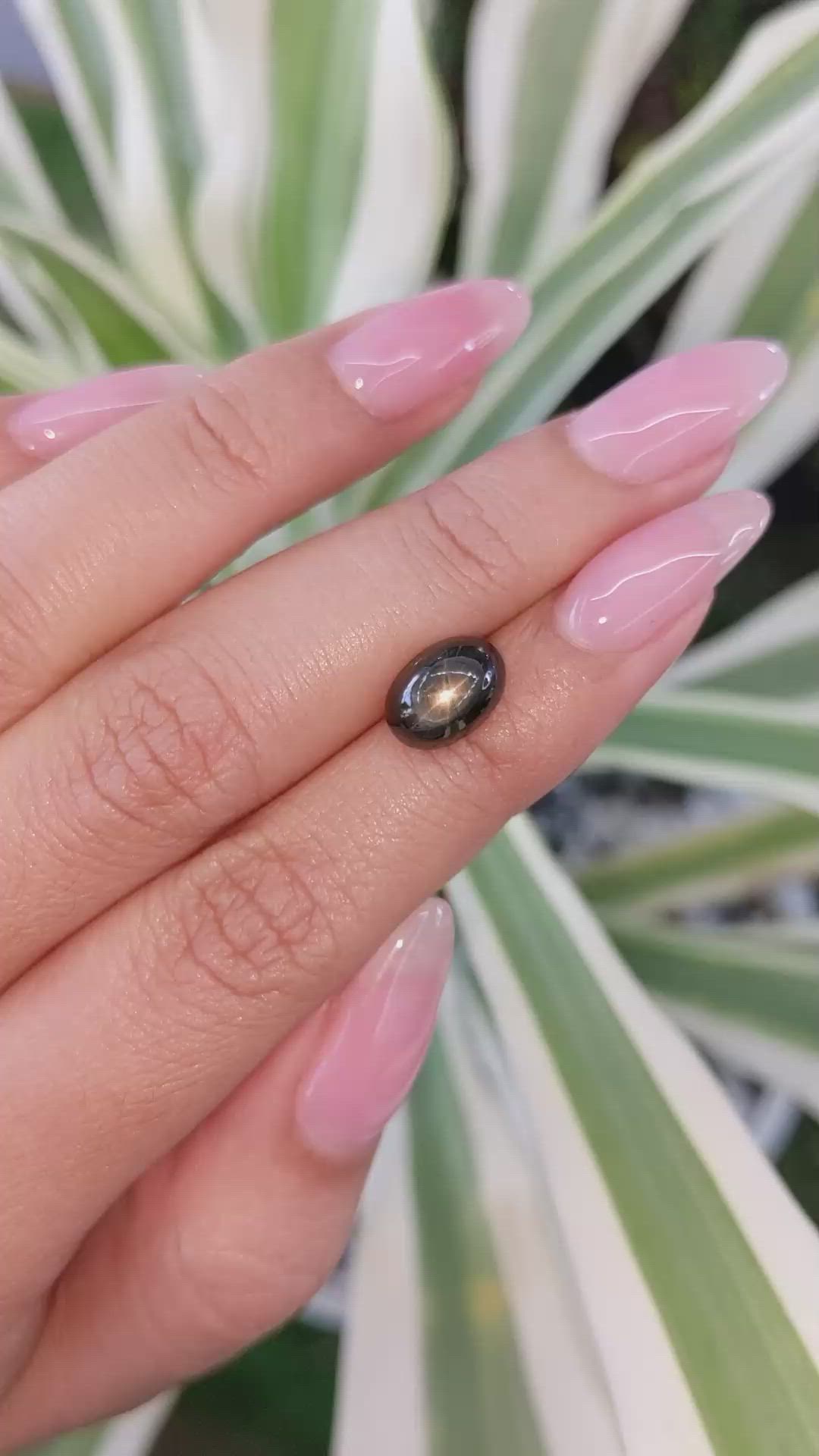 4.59 Ct. Black Star Sapphire from Ceylon (Sri Lanka) Size Video