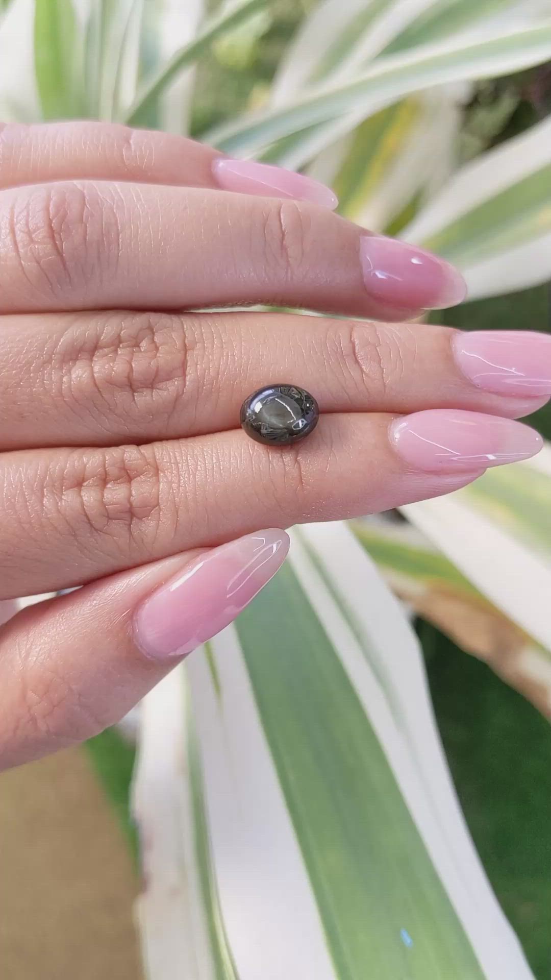 3.83 Ct. Black Star Sapphire from Ceylon (Sri Lanka) Size Video