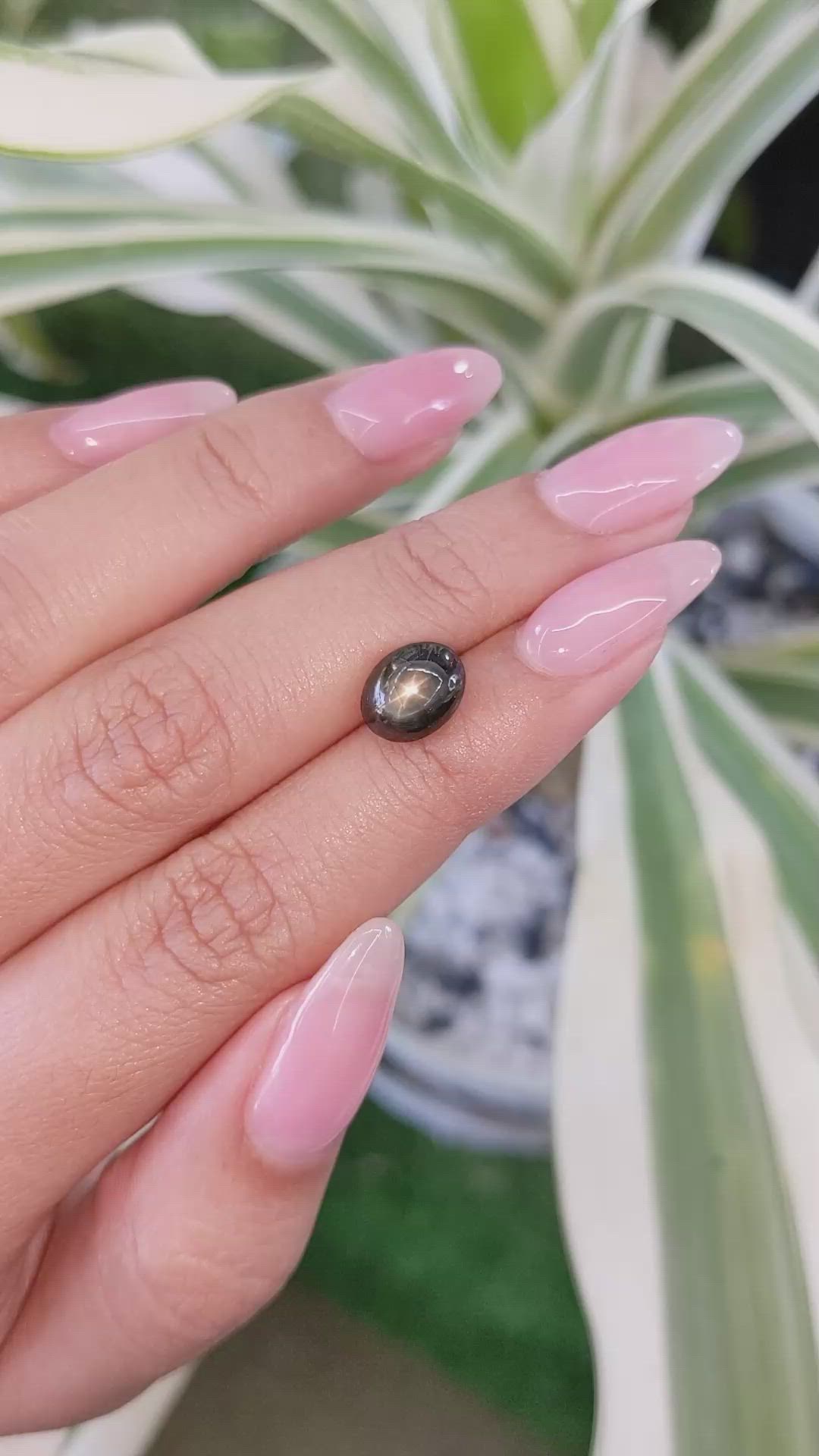 3.83 Ct. Black Star Sapphire from Ceylon (Sri Lanka) Size Video