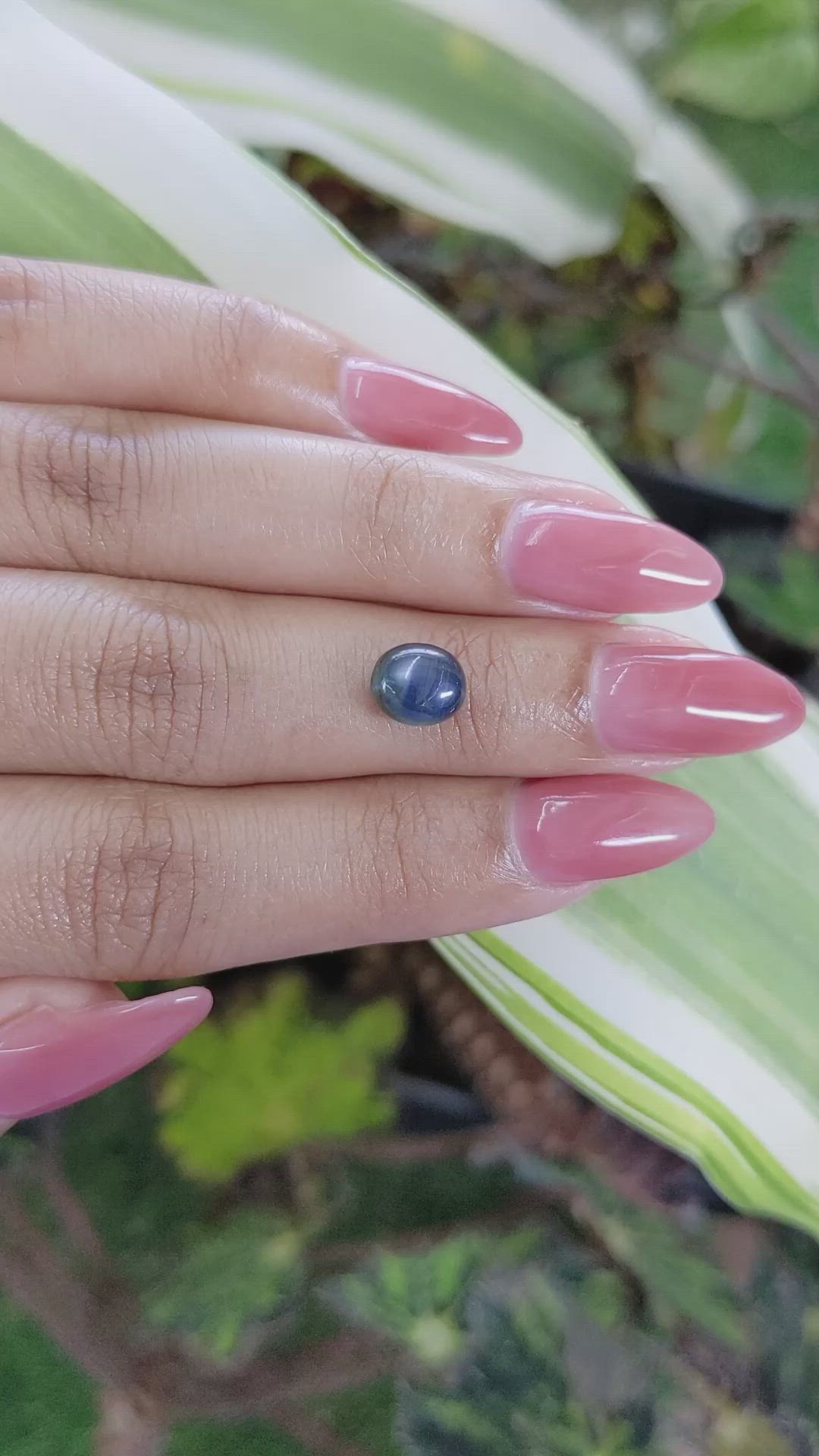 2.71 Ct. Greenish Blue Star Sapphire from Ceylon (Sri Lanka) Size Video