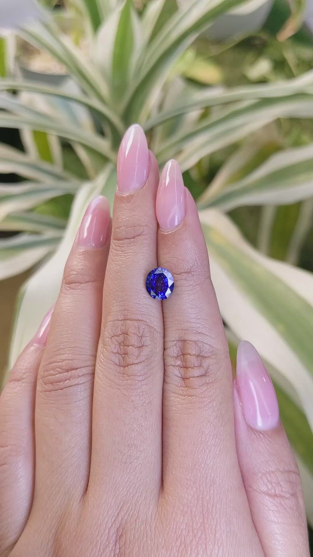 1.94 Ct. Blue Sapphire from Ceylon (Sri Lanka) Size Video