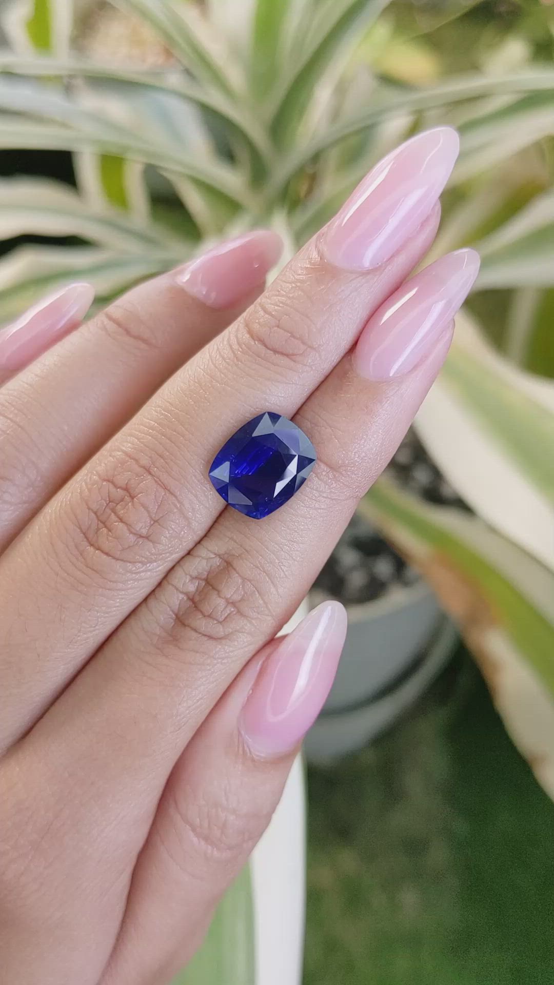 5.86 Ct. Blue Sapphire from Ceylon (Sri Lanka) Size Video