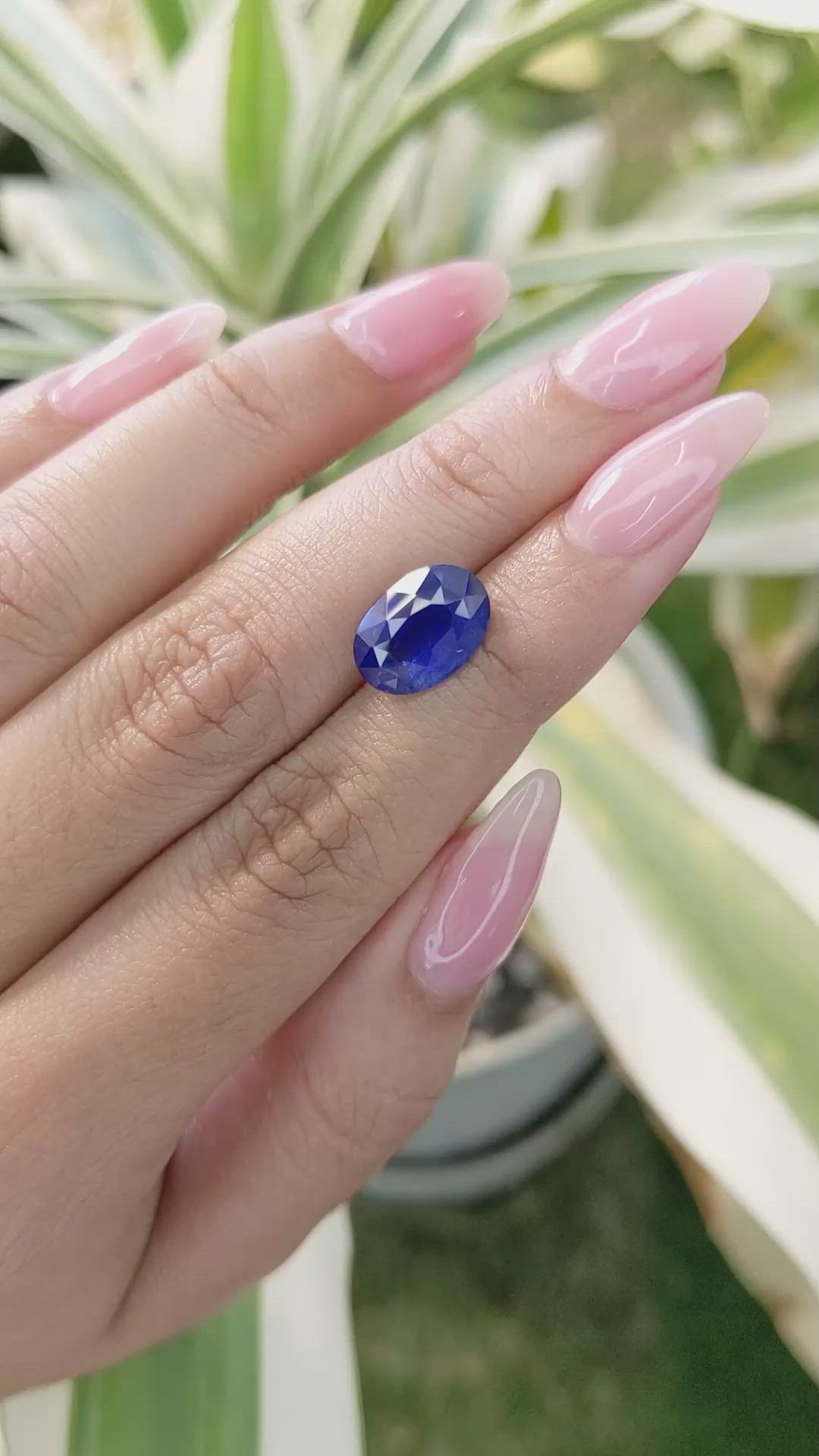5.54 Ct. Blue Sapphire from Ceylon (Sri Lanka) Size Video