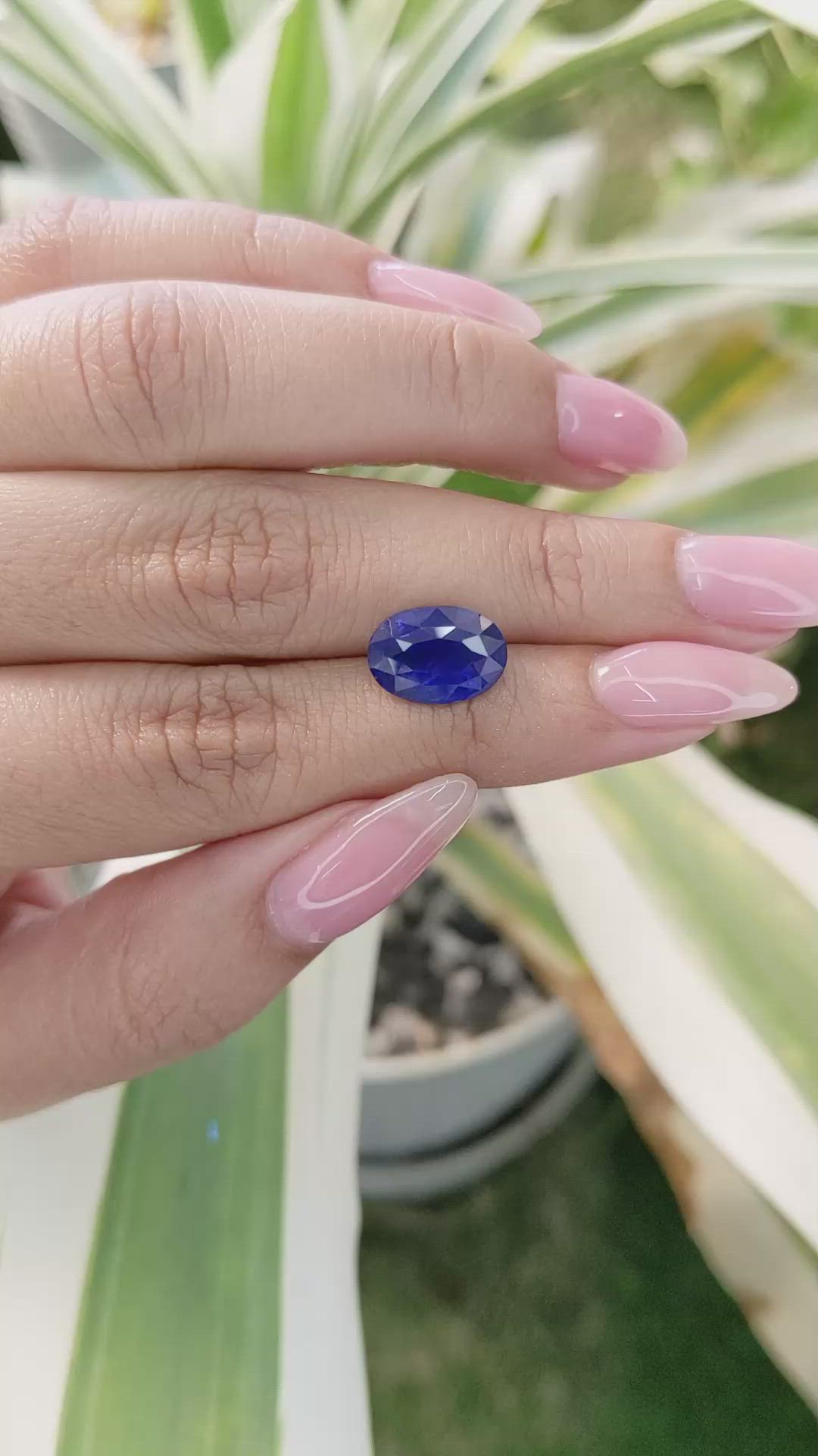 5.54 Ct. Blue Sapphire from Ceylon (Sri Lanka) Size Video