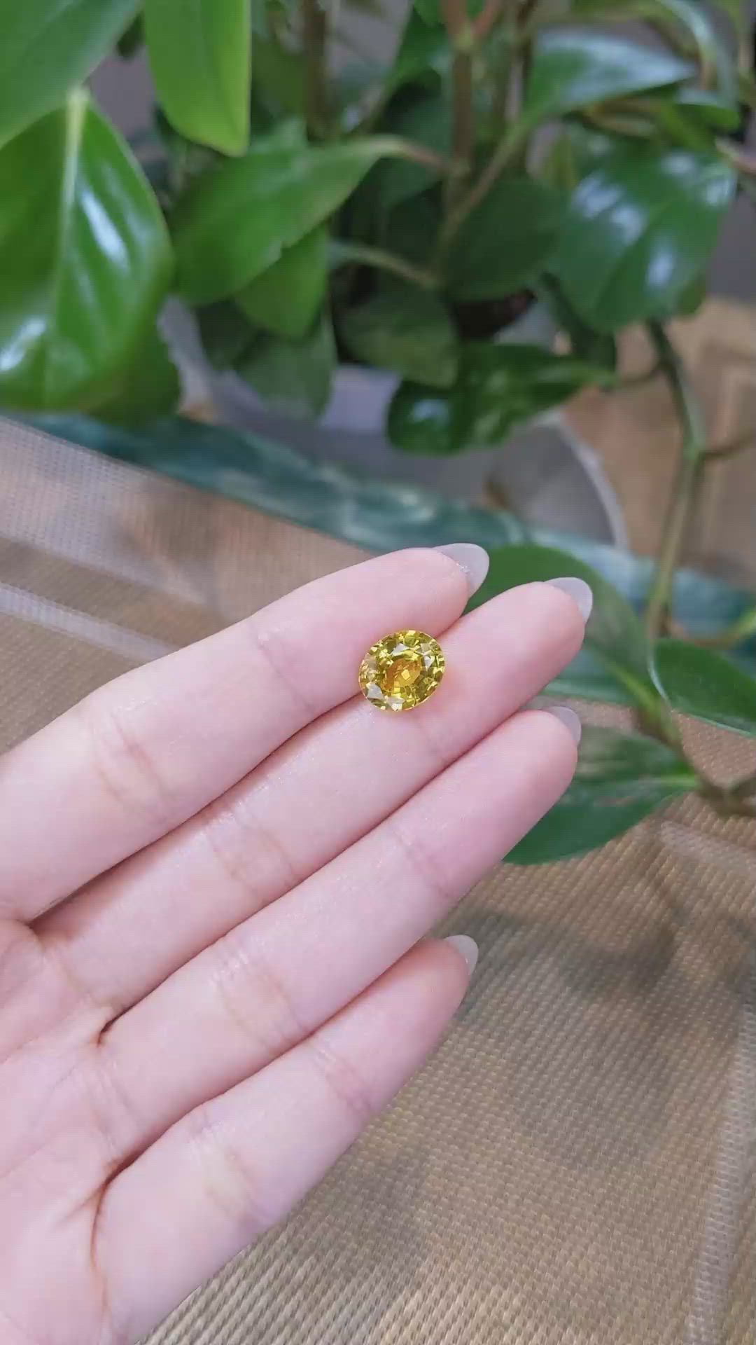 3.48 Ct. Yellow Sapphire from Ceylon (Sri Lanka) Size Video
