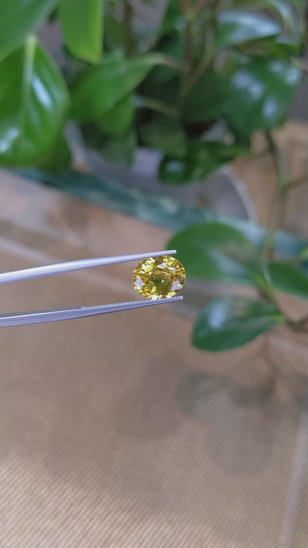 3.48 Ct. Yellow Sapphire from Ceylon (Sri Lanka) Size Video