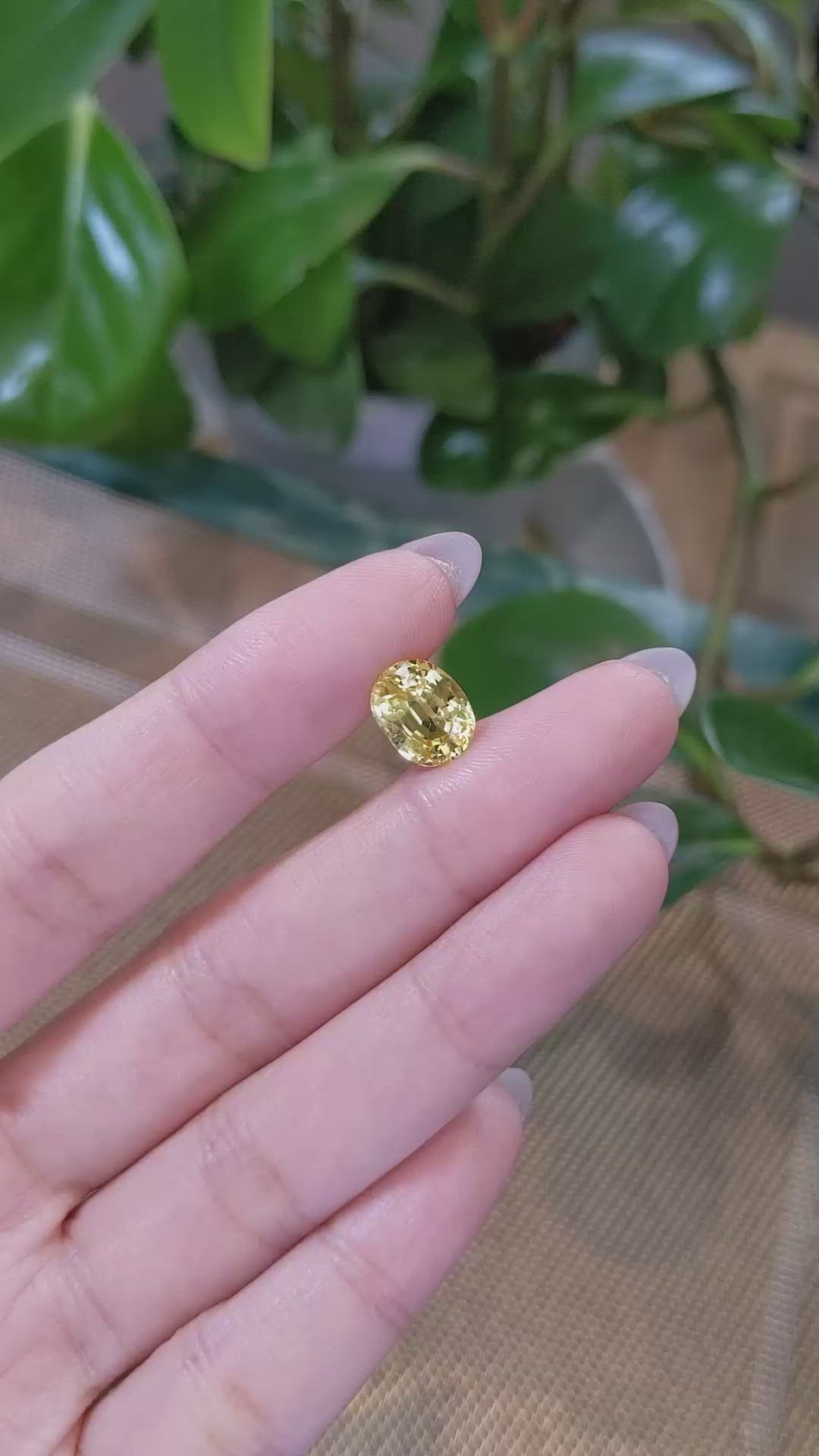 3.91 Ct. Yellow Sapphire from Ceylon (Sri Lanka) Size Video