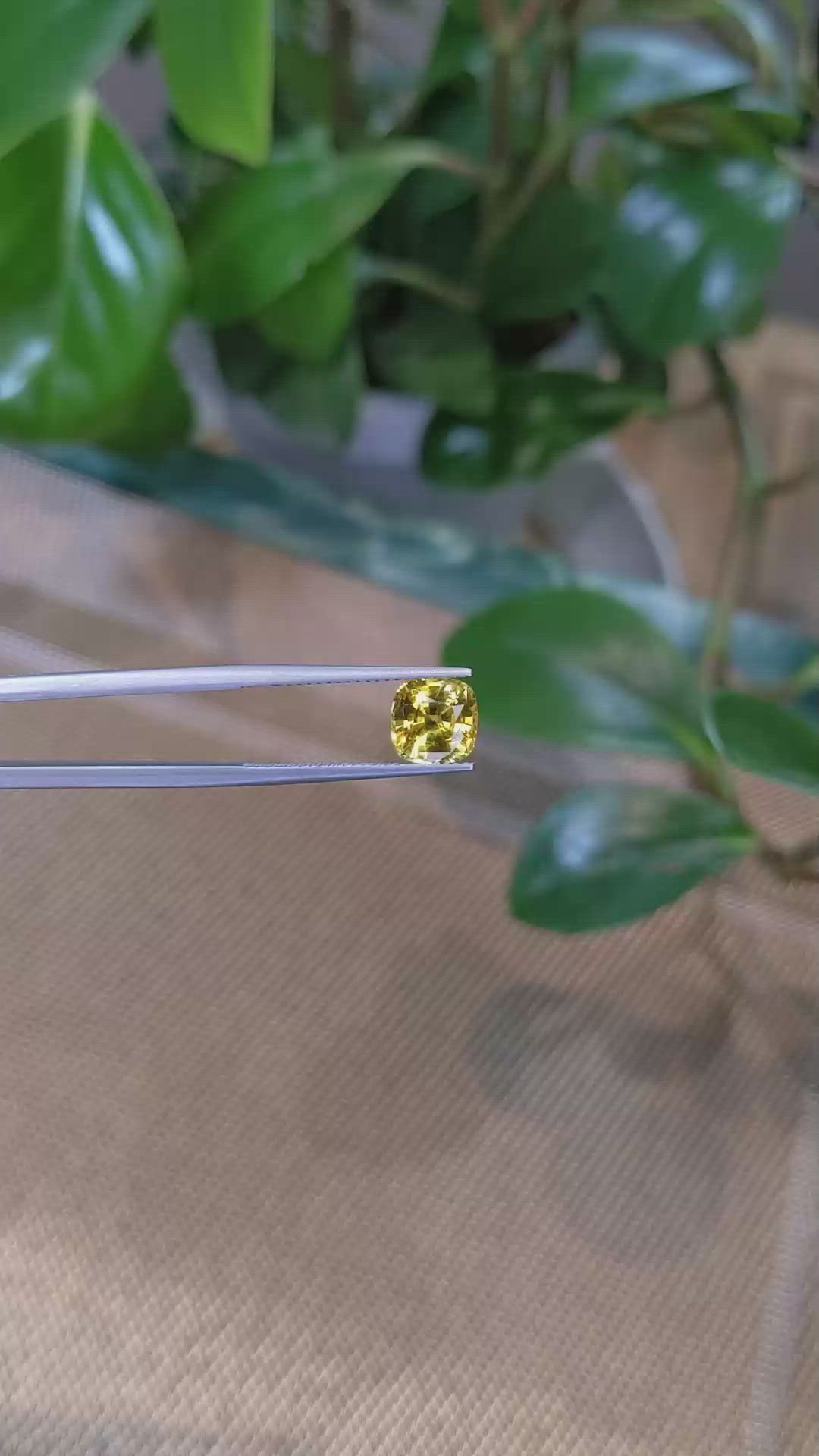 2.77 Ct. Yellow Sapphire from Ceylon (Sri Lanka) Size Video