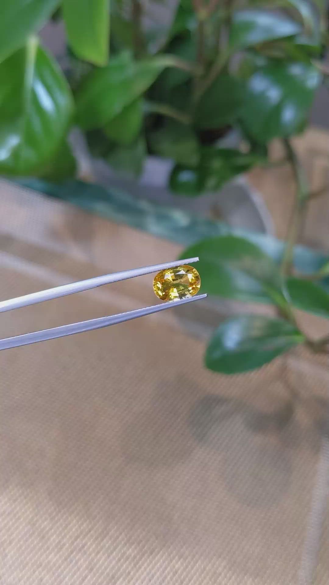 2.35 Ct. Yellow Sapphire from Ceylon (Sri Lanka) Size Video