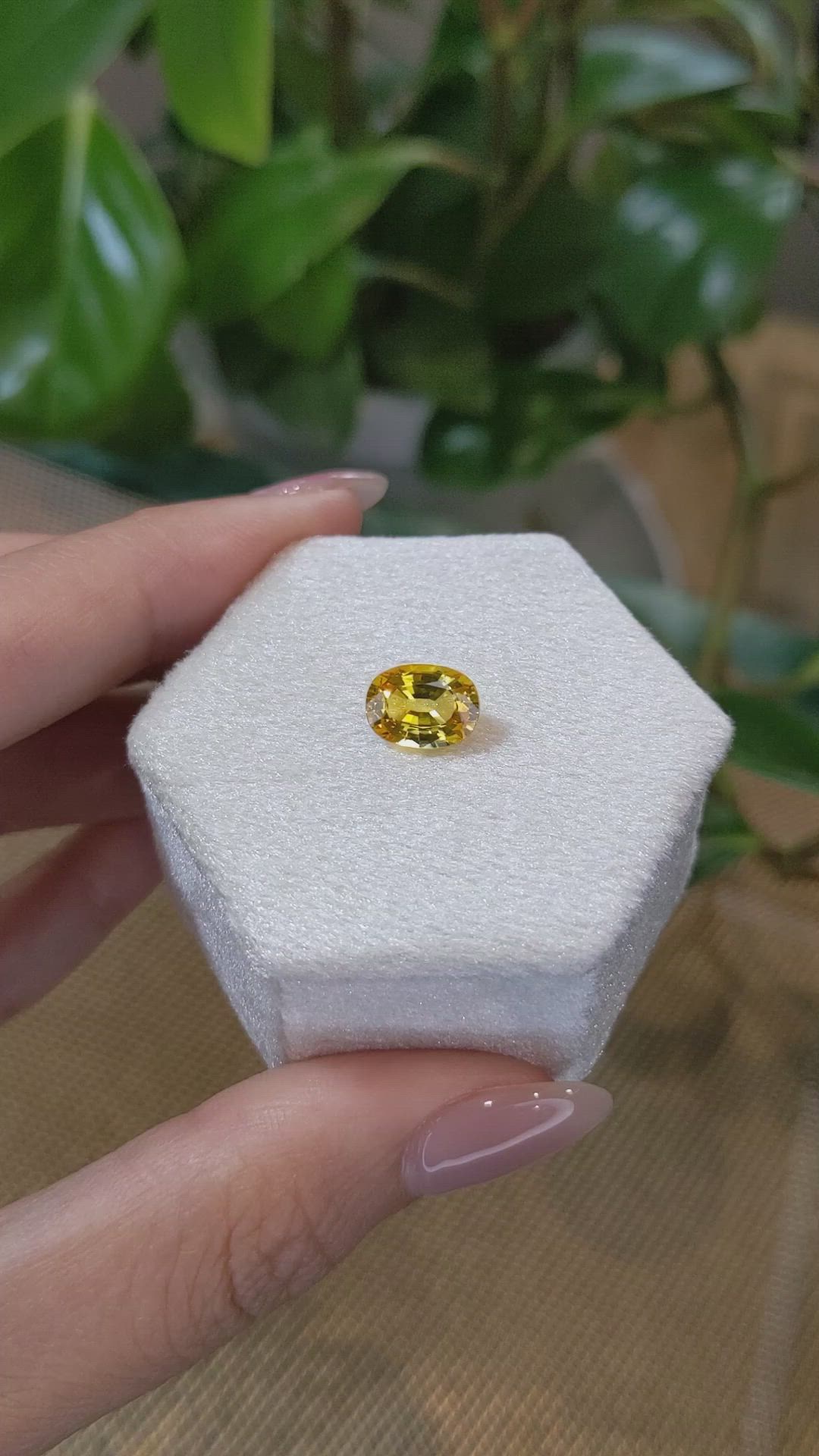 2.35 Ct. Yellow Sapphire from Ceylon (Sri Lanka) Size Video