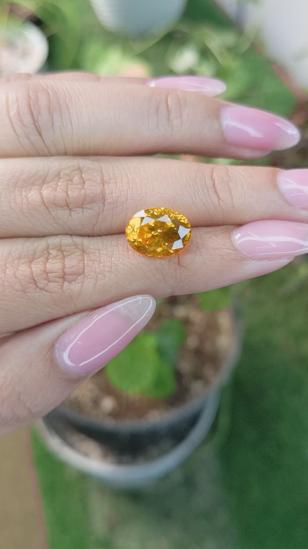 7.20 Ct. Yellowish Orange Sapphire from Ceylon (Sri Lanka) Size Video