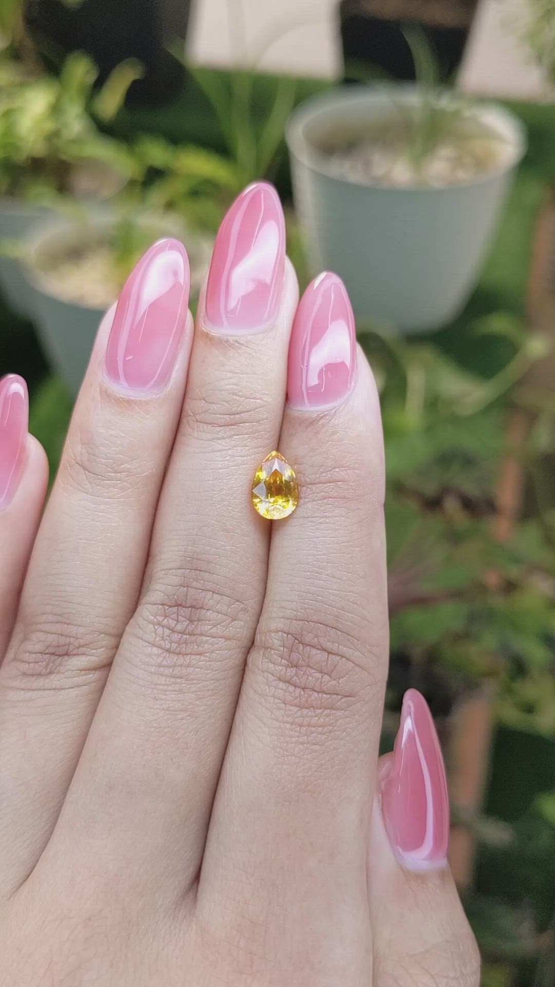 1.68 Ct. Yellowish Orange Sapphire from Ceylon (Sri Lanka) Size Video