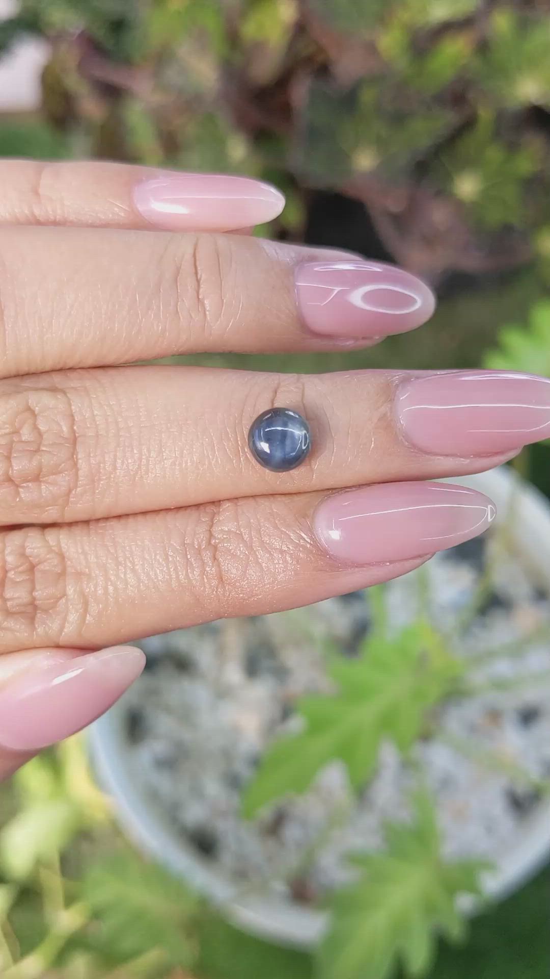1.60 Ct. Greyish Blue Star Sapphire from Ceylon (Sri Lanka) Size Video