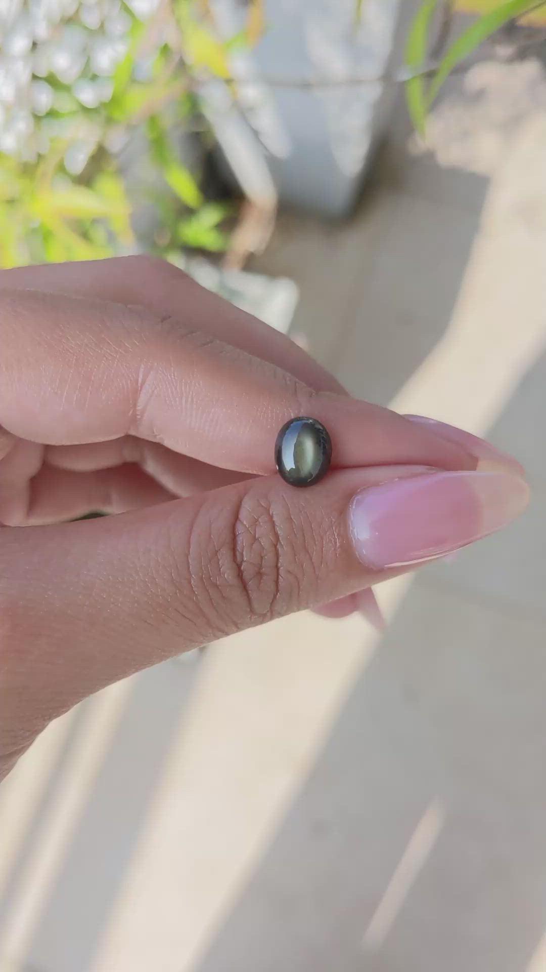 2.42 Ct. Black Star Sapphire from Ceylon (Sri Lanka) Size Video