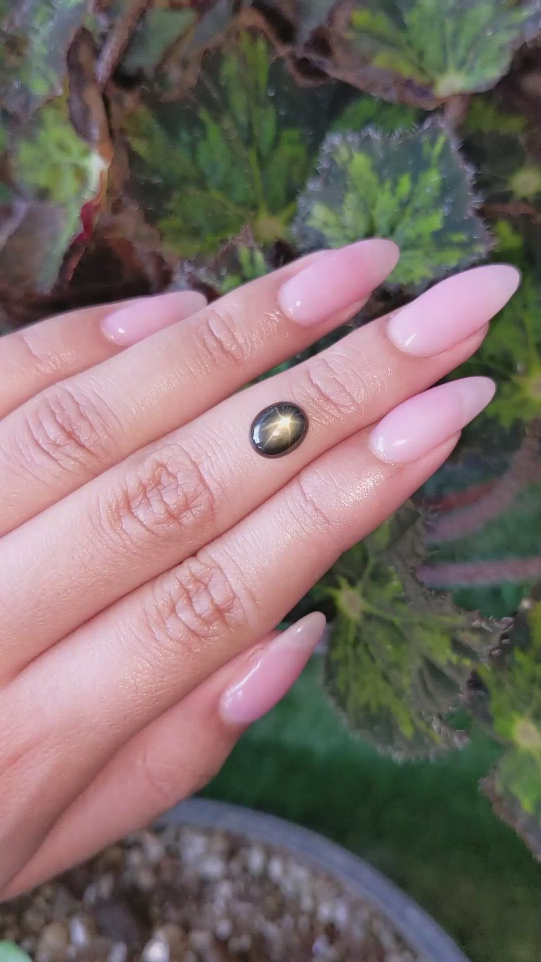 2.42 Ct. Black Star Sapphire from Ceylon (Sri Lanka) Size Video