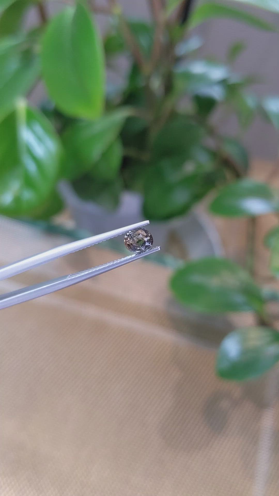 1.19 Ct. Bi Color / Parti Sapphire from Montana Size Video