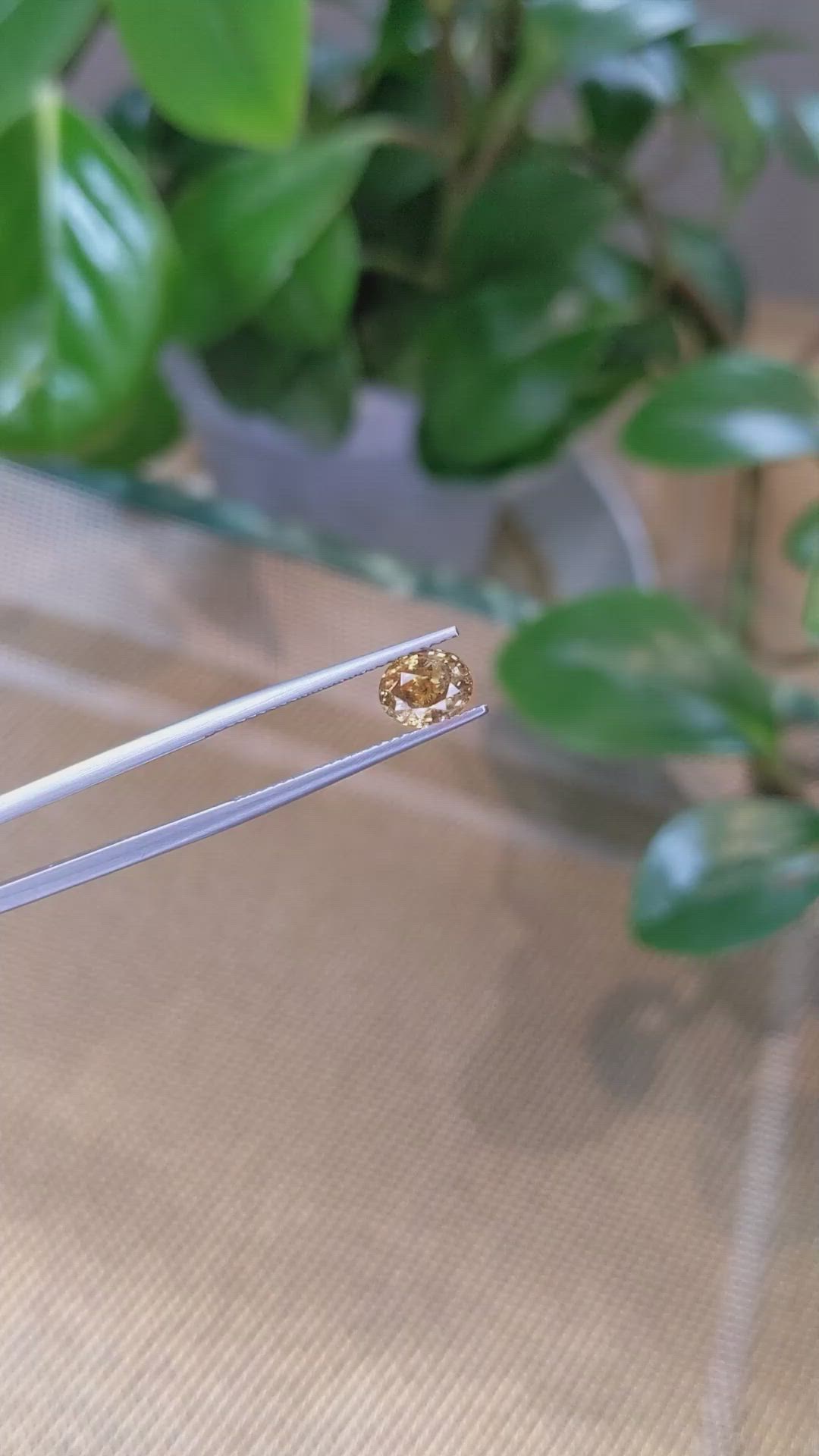 1.50 Ct. Bi Color Sapphire from Montana Size Video