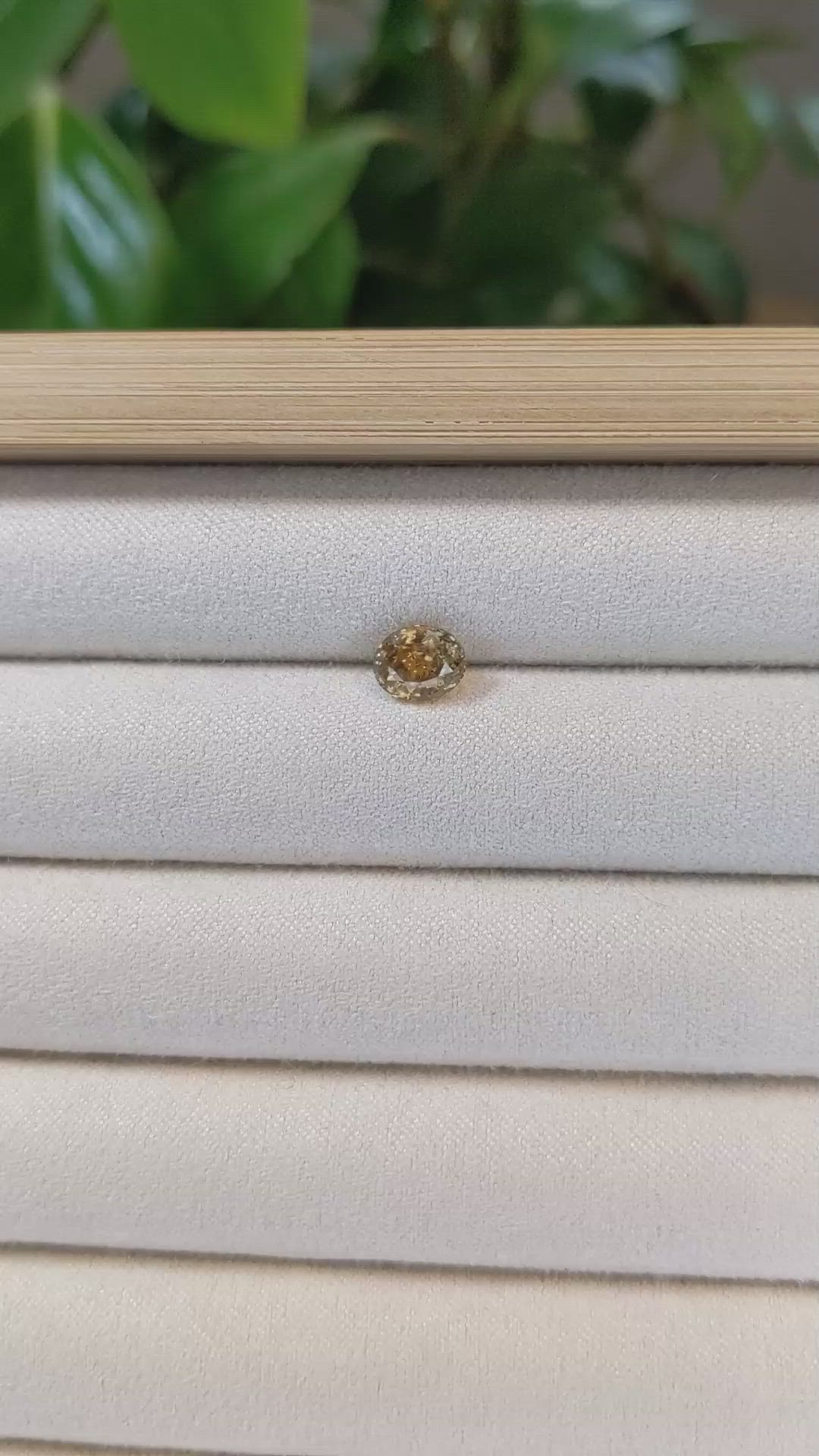 1.50 Ct. Bi Color Sapphire from Montana Size Video