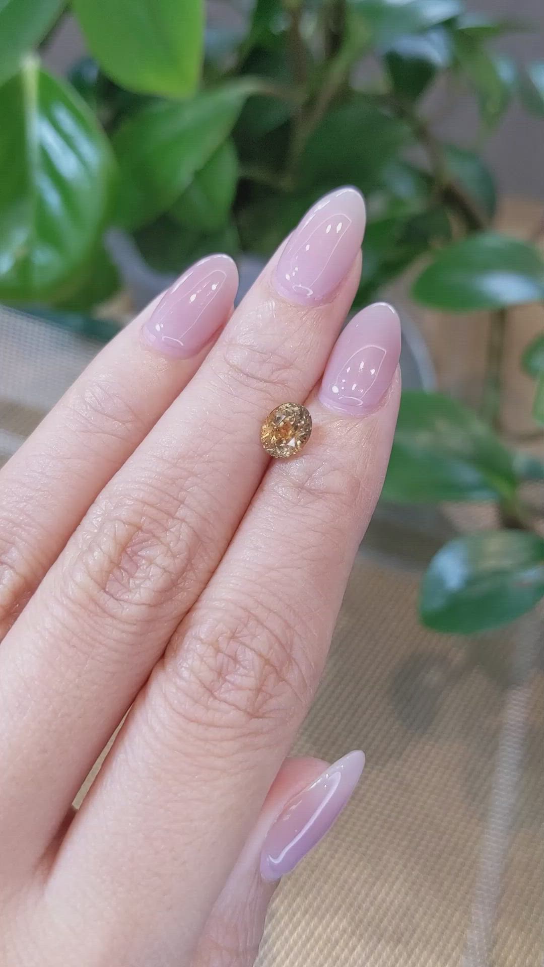 1.50 Ct. Bi Color Sapphire from Montana Size Video