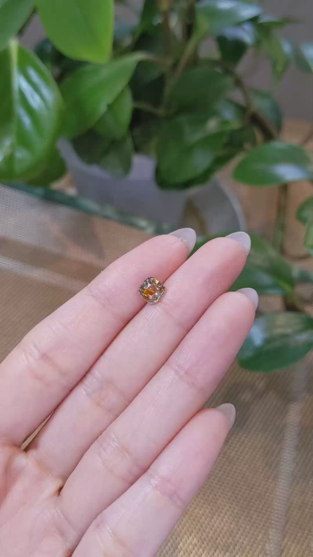 1.30 Ct. Bi Color Sapphire from Montana Size Video