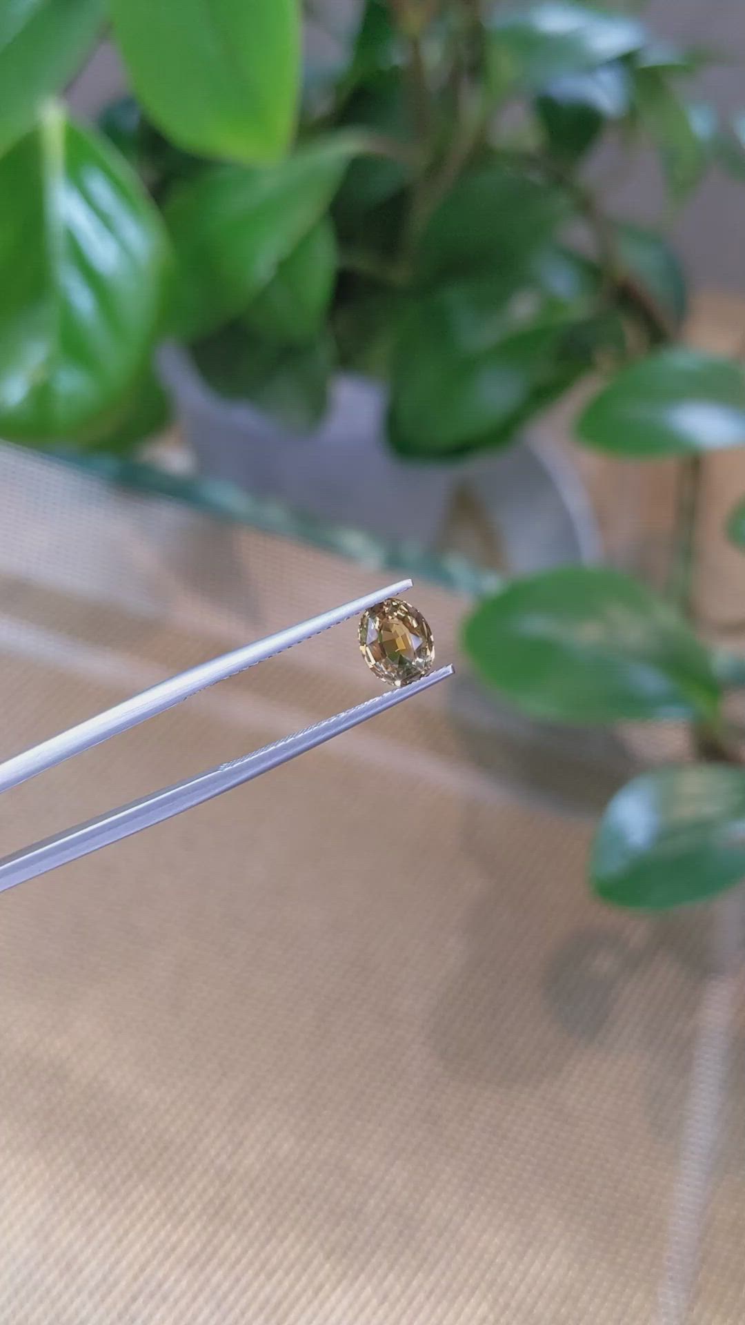1.23 Ct. Bi Color / Parti Sapphire from Montana Size Video