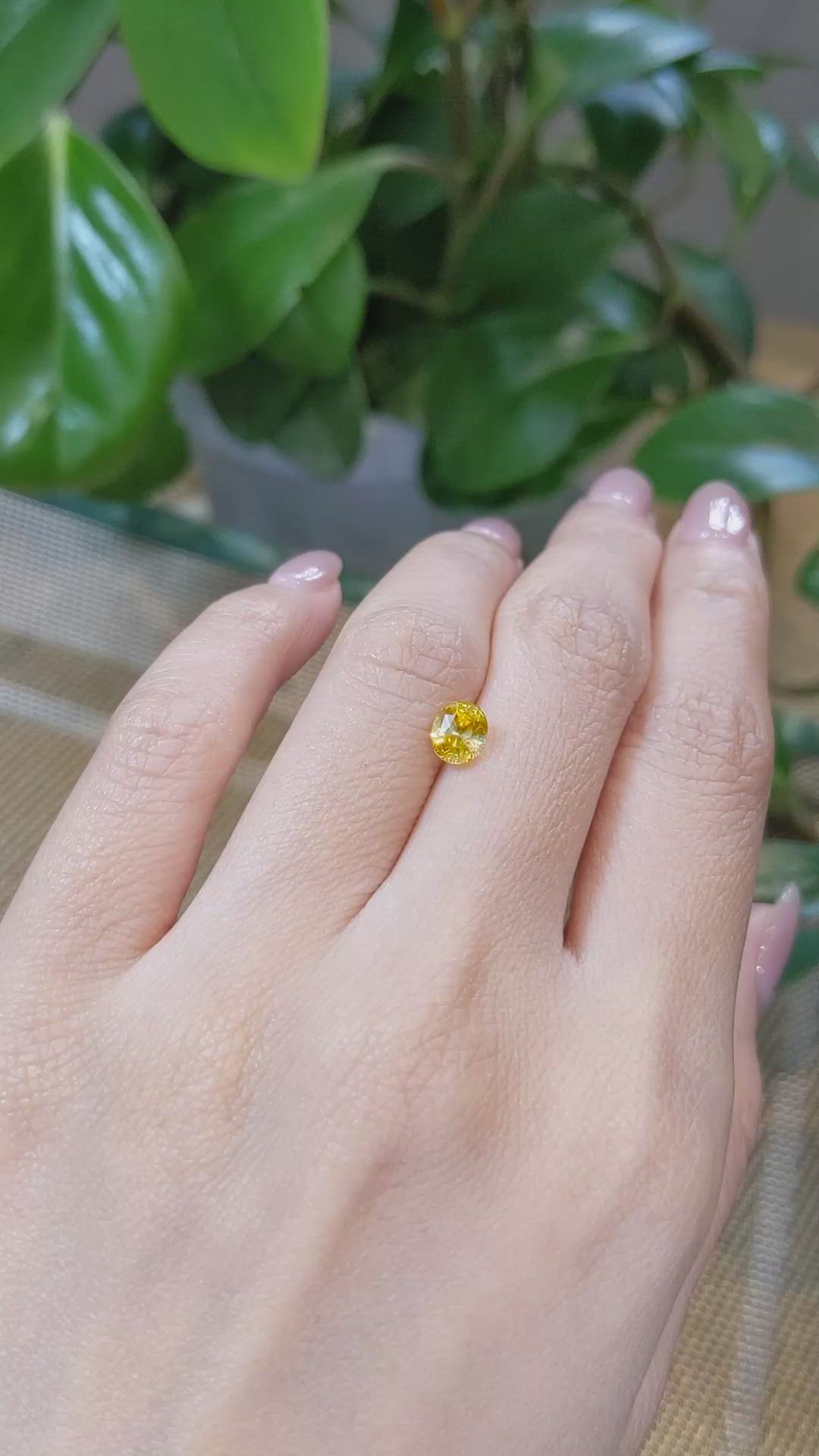 1.27 Ct. Bi Color Sapphire from Montana Size Video