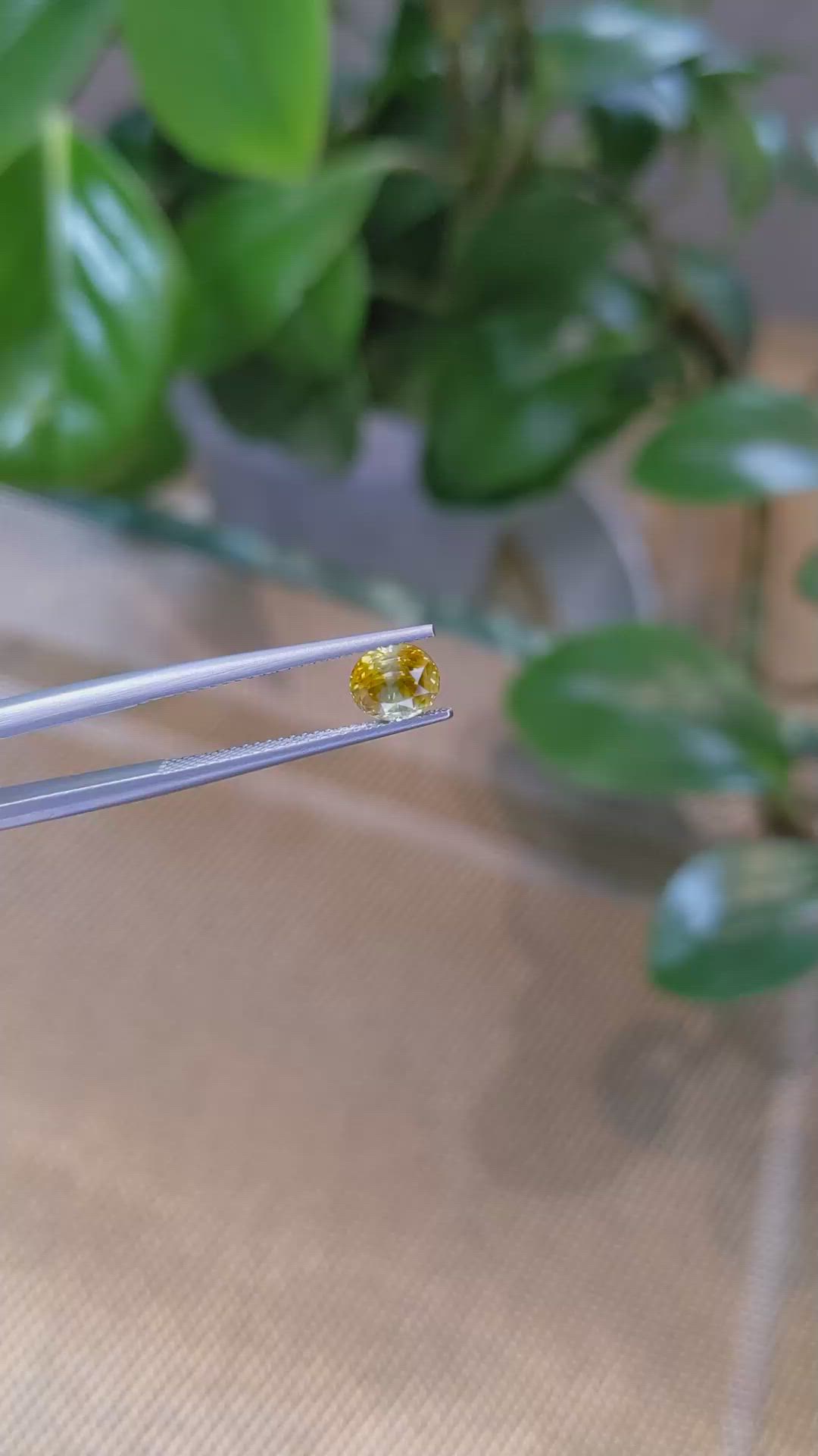 1.27 Ct. Bi Color Sapphire from Montana Size Video