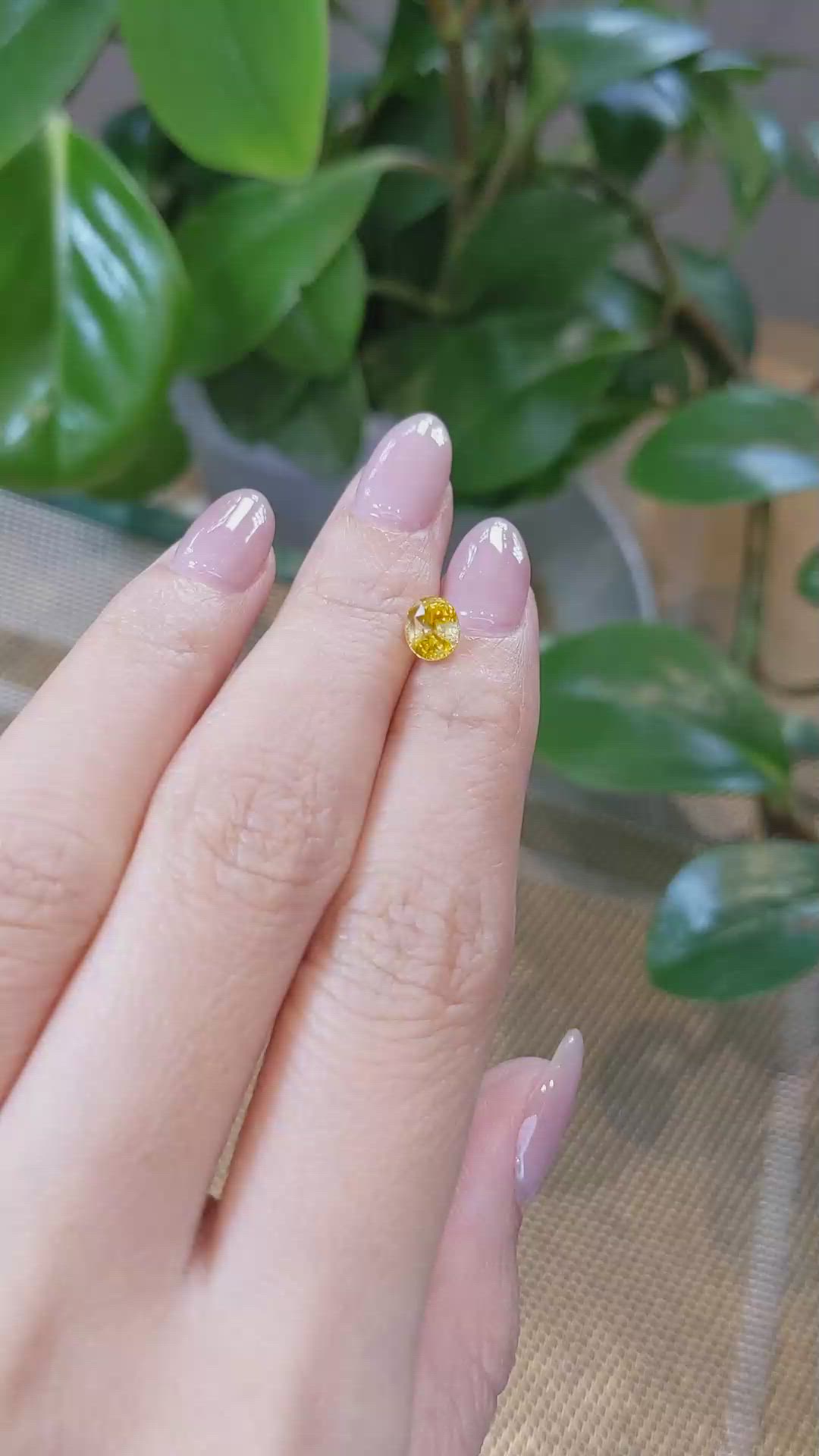 1.27 Ct. Bi Color Sapphire from Montana Size Video