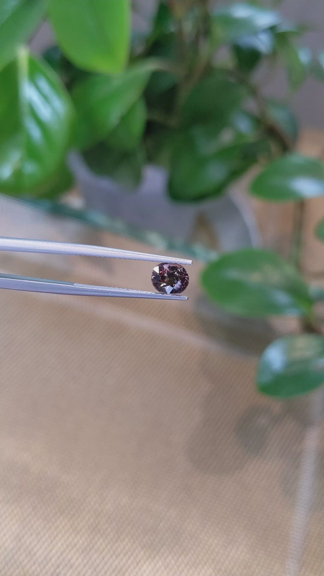 1.46 Ct. Bi Color Sapphire from Montana Size Video